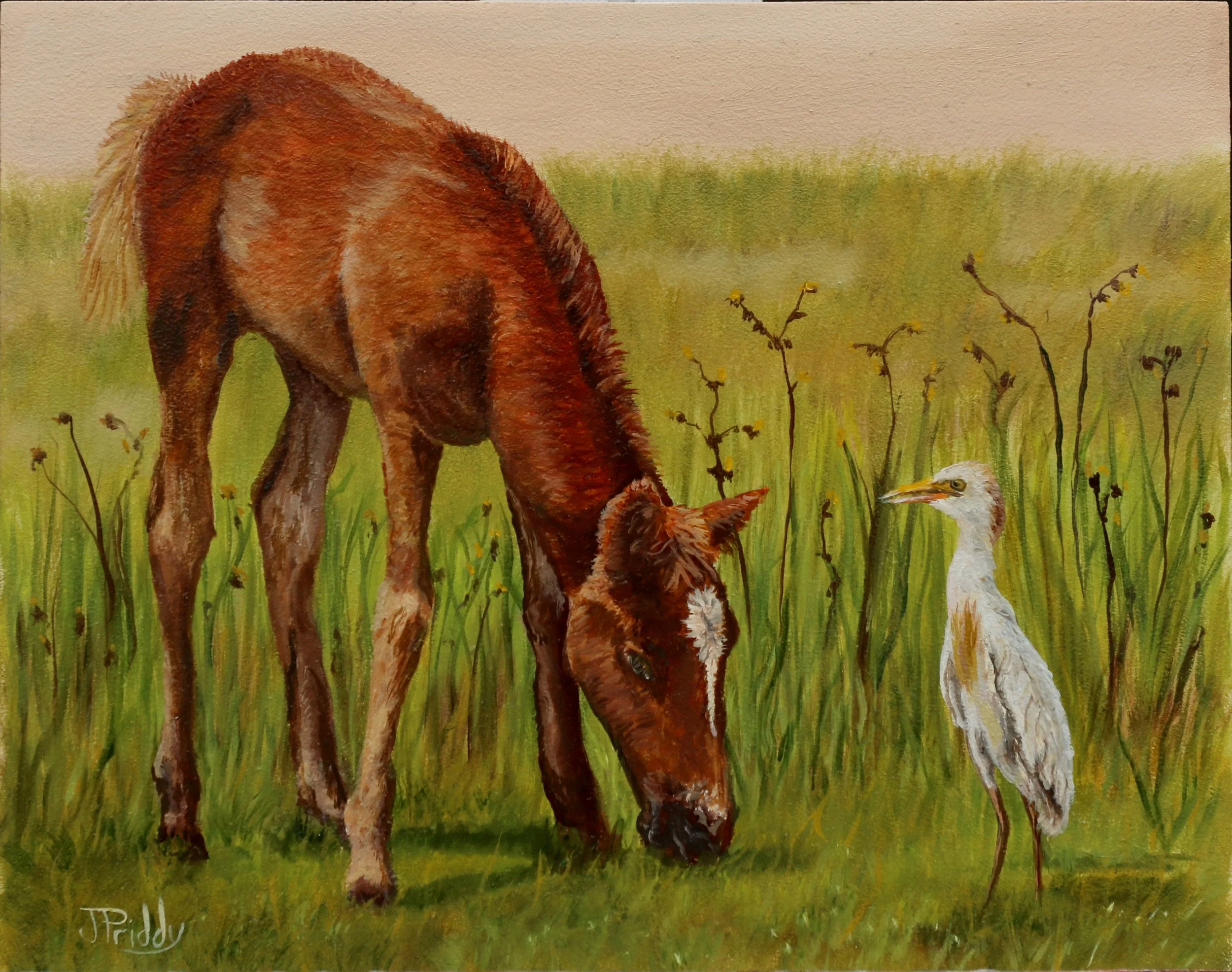 FillyandEgret.jpg