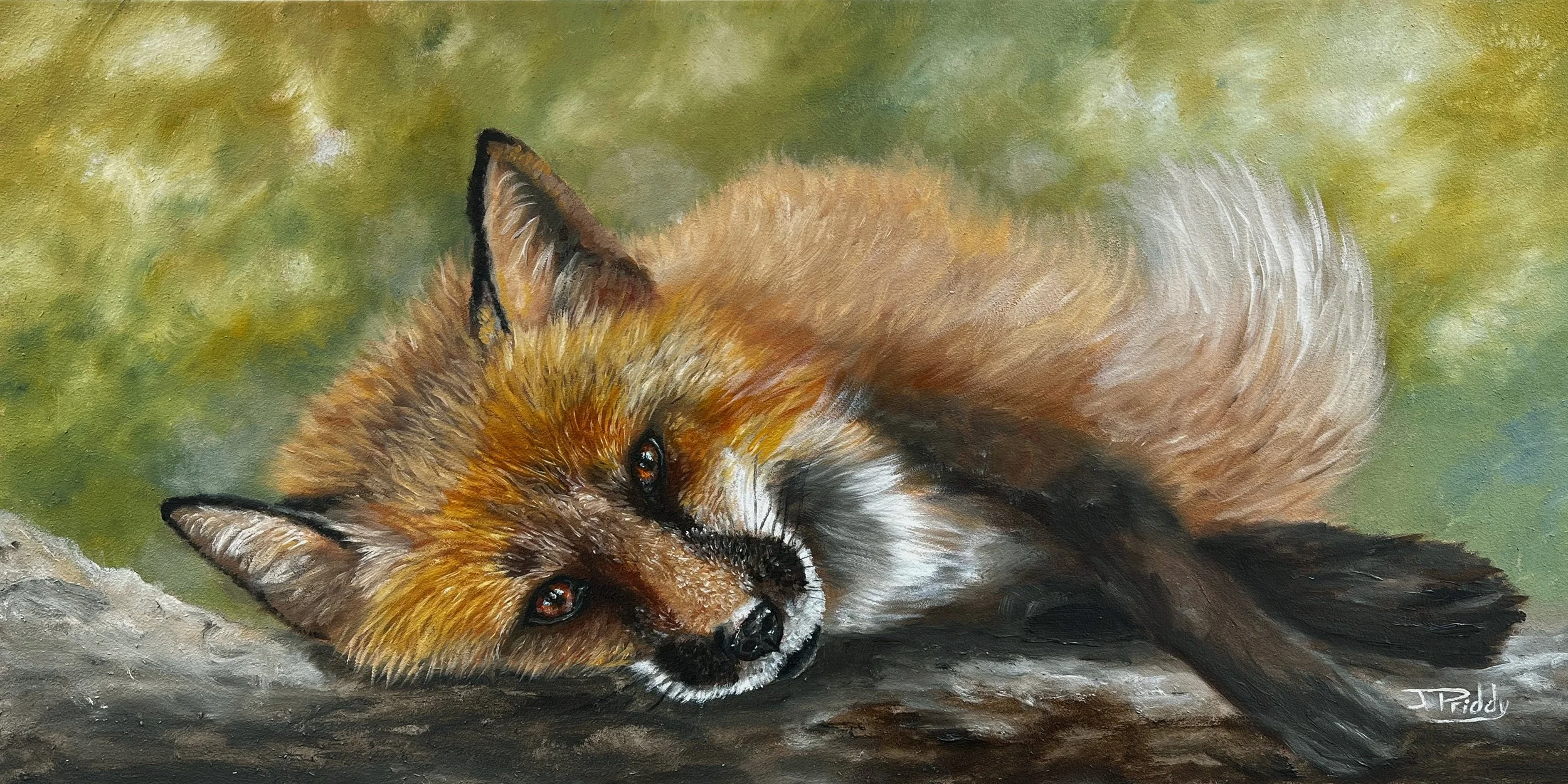 PrettyFoxEyes-10x20-oil-275-sold.jpg