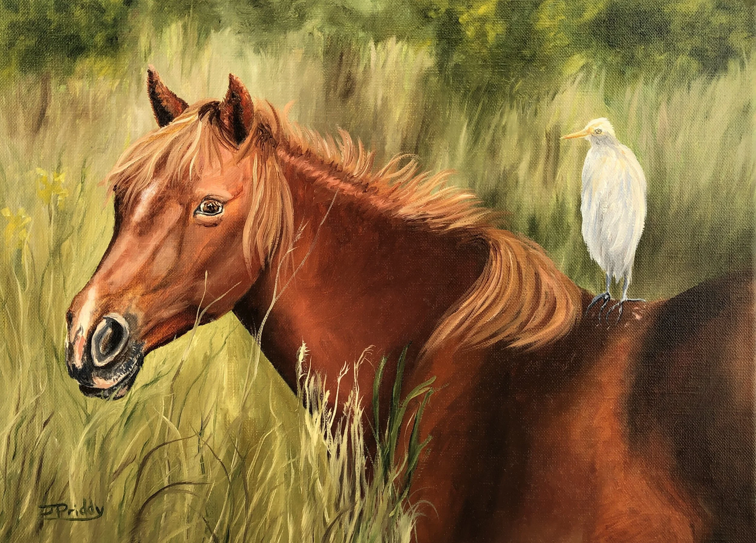 WildMustangofCorolla-$495-12x16-oil.jpg