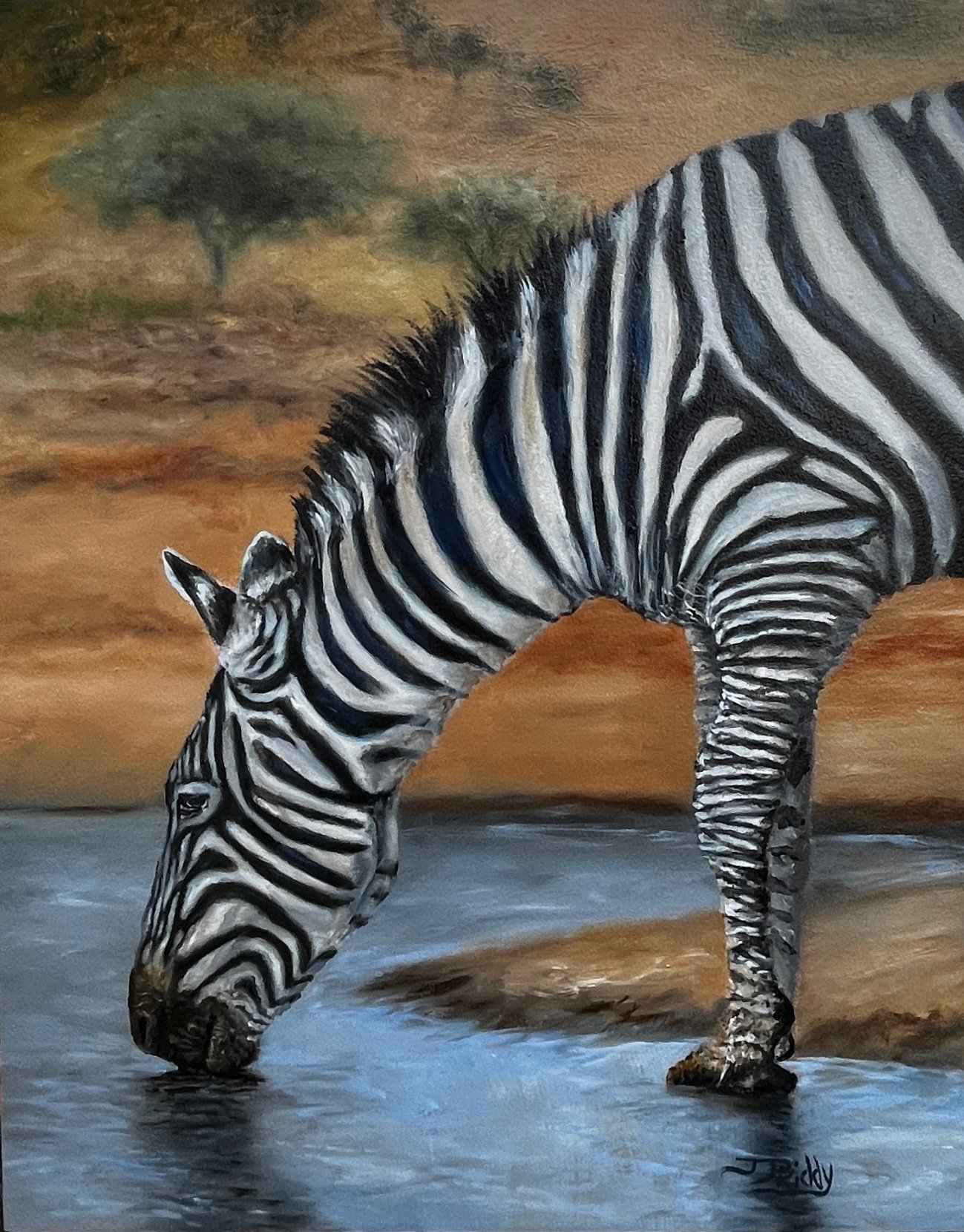 Zebra-at-Salt-Lick-Lodge.jpg