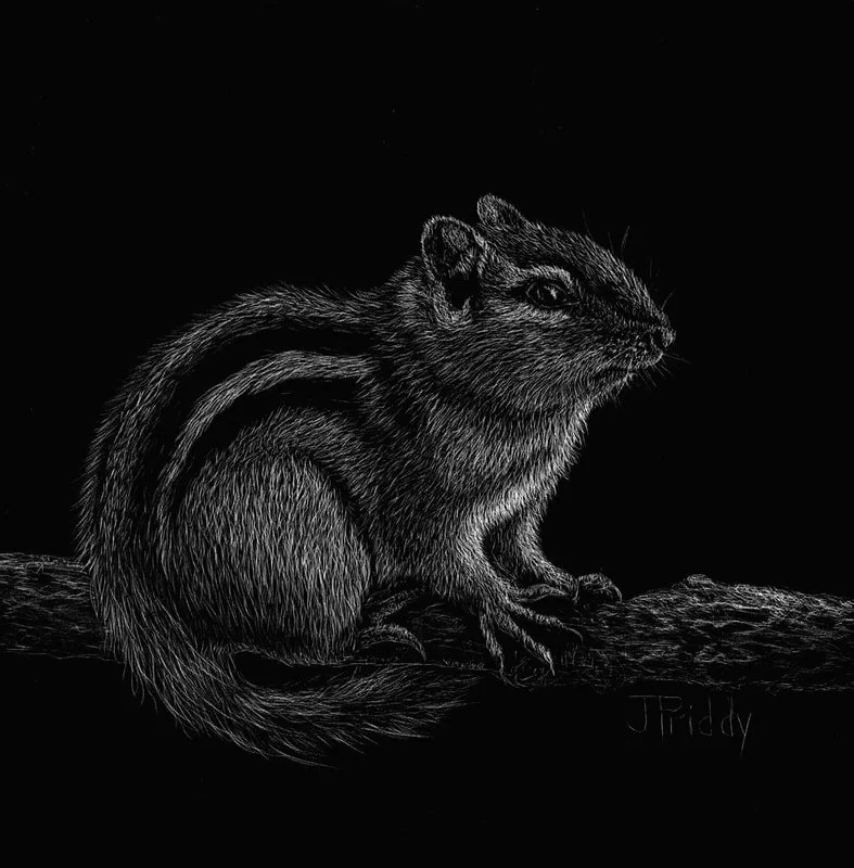 chipmunk-6x6-sb_1.jpg