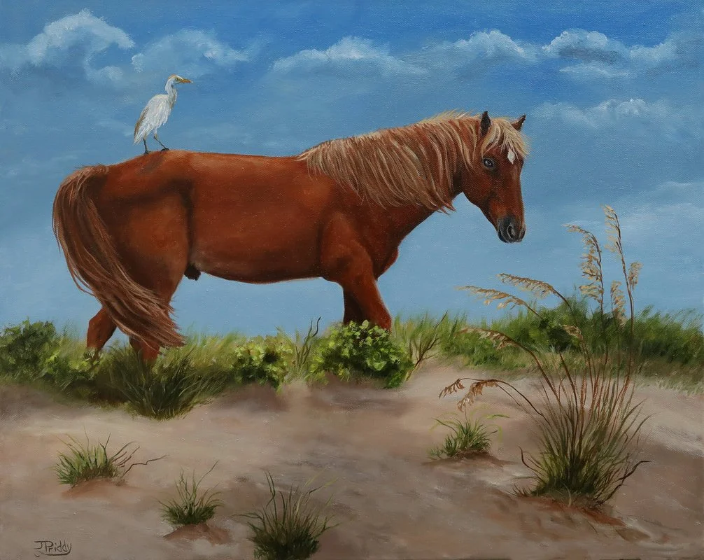 wildstallion-16x20_1.jpg