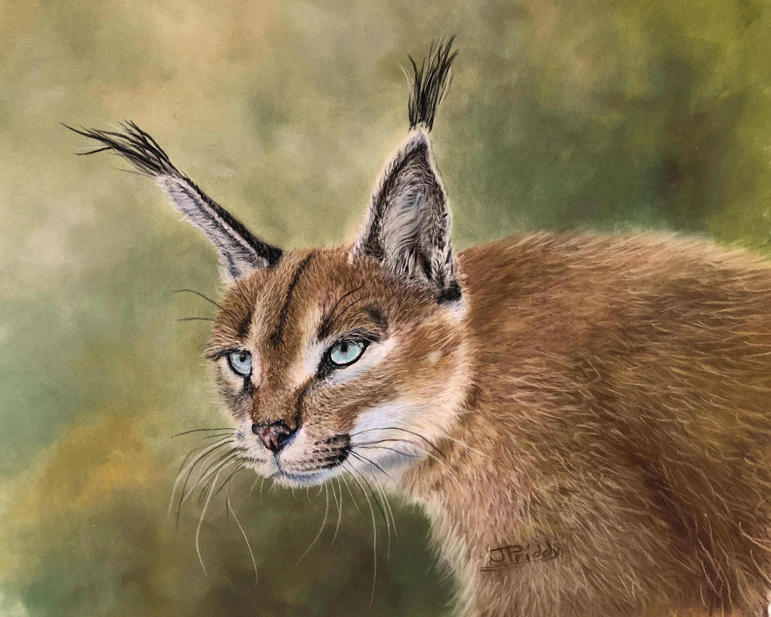 caracal-8x10-pastels-donated.jpg