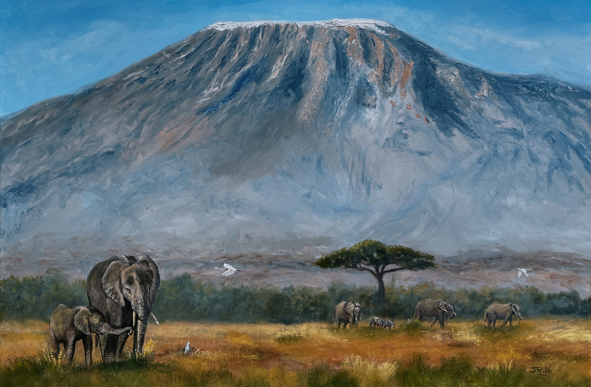 Mount Kilimanjaro Kenya