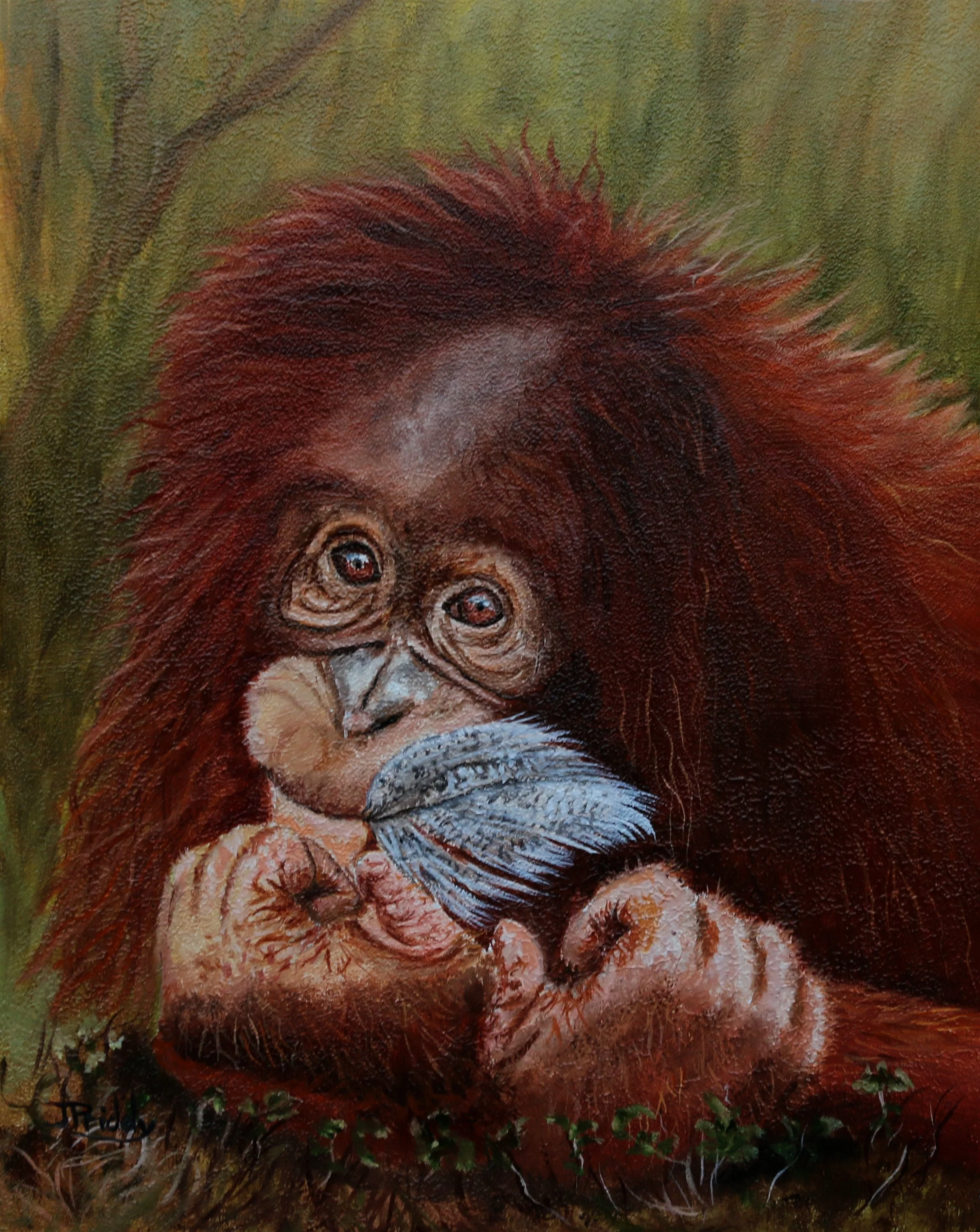 orangutan1397.jpg