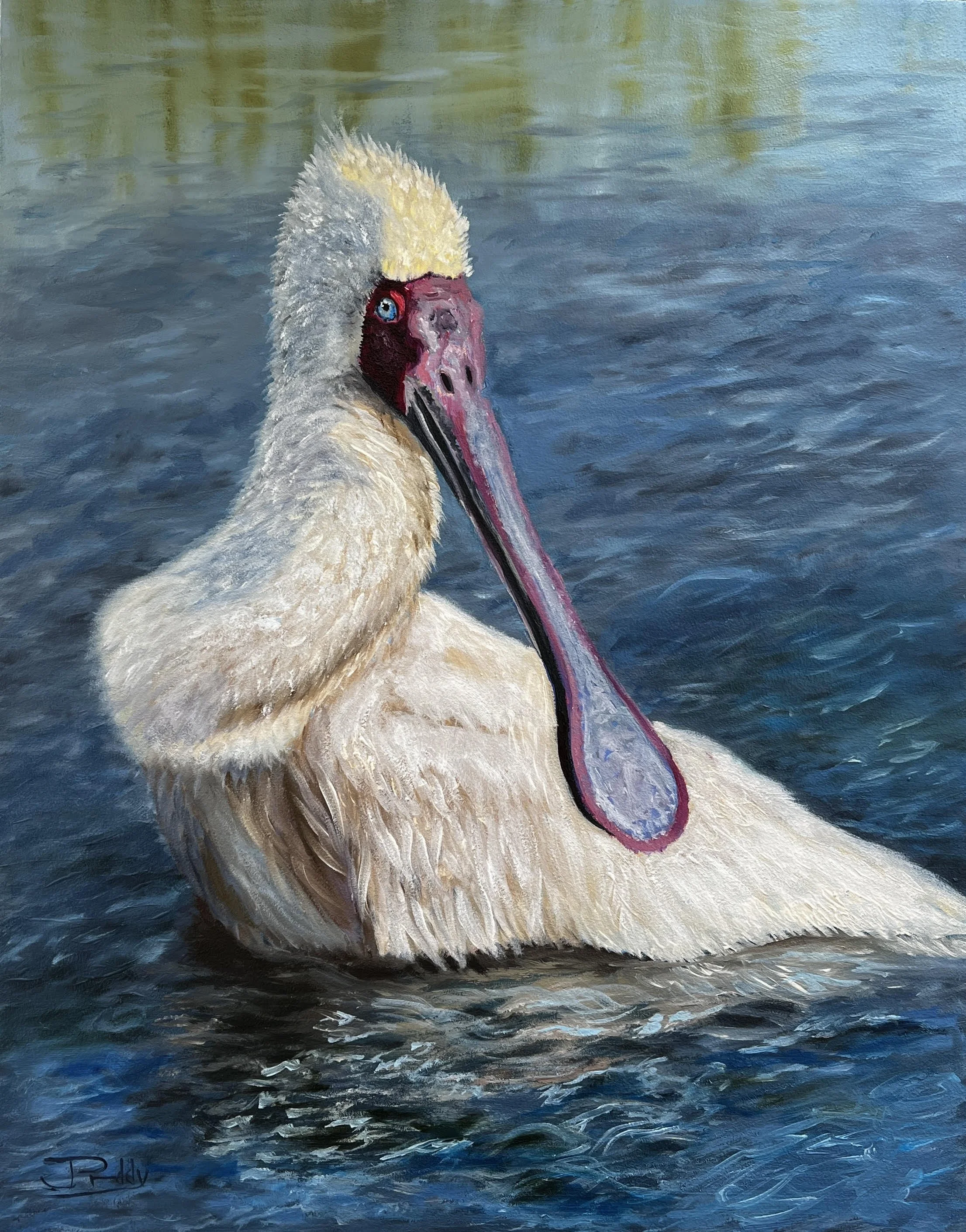 ALovelySpoonbill-14x11-Oil-395-JanPriddy.jpg