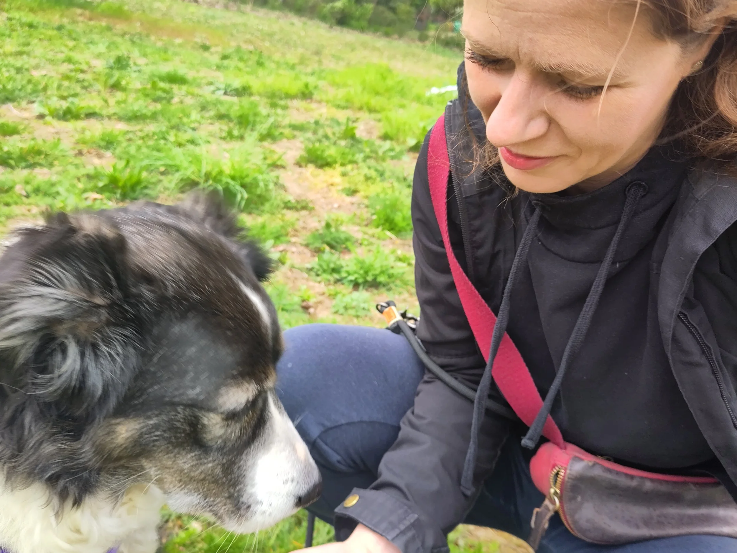 Junge Frau im schwarzen Jacke und pinkem Rucksack, die mit einem Hund im Freien in der Natur spielt.
