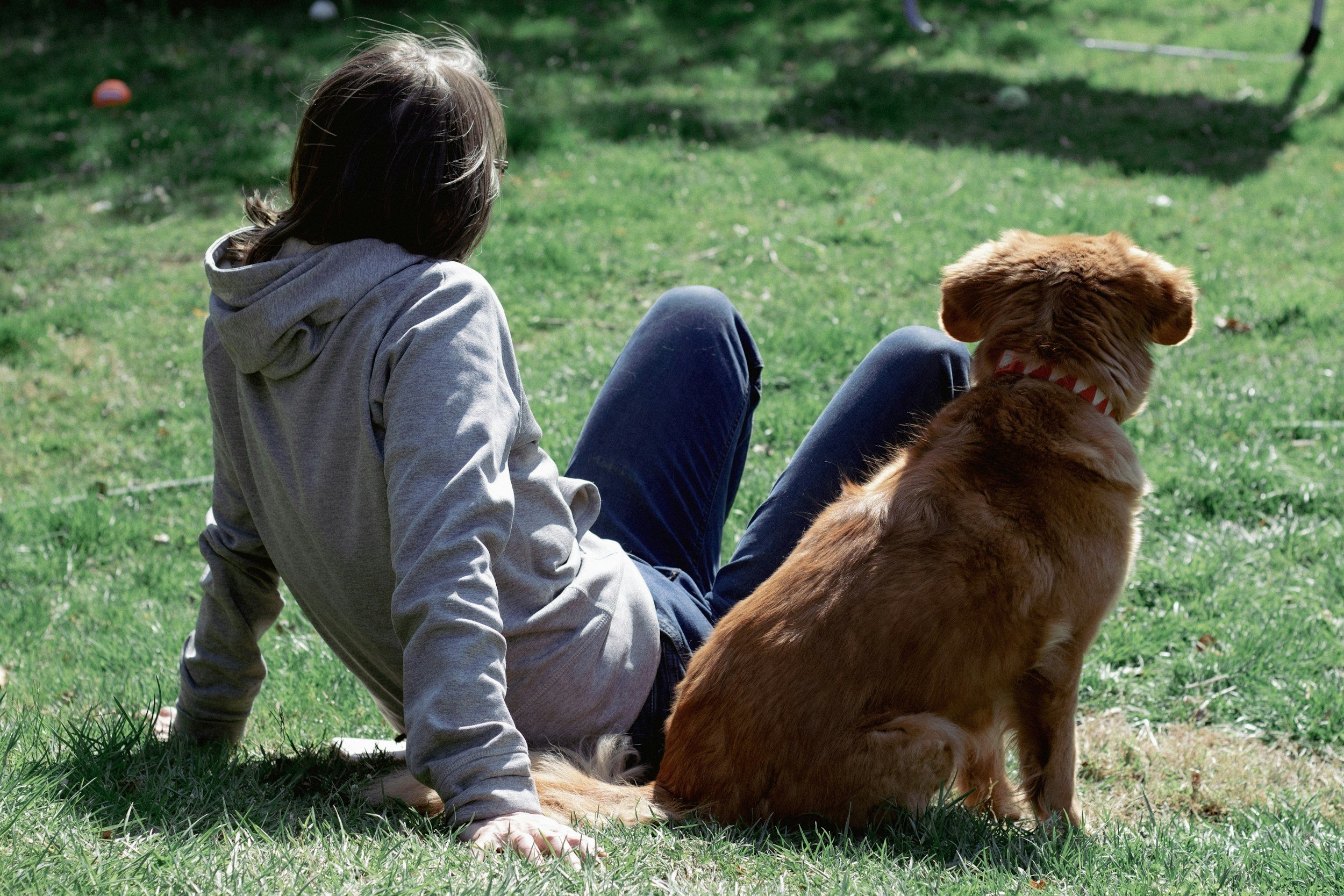 Ein Mädchen mit braunen Haaren trägt eine graue Kapuzenjacke und sitzt auf dem Gras, während ein brauner Hund neben ihr sitzt. Es ist ein sonniger Tag im Park.