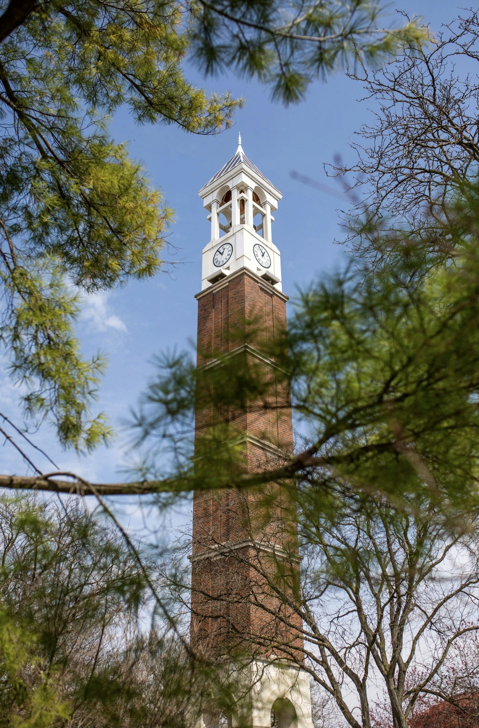A tall clock tower with a brick base and a white clock face, surrounded by green trees with some branches and leaves in the foreground under a clear blue sky.