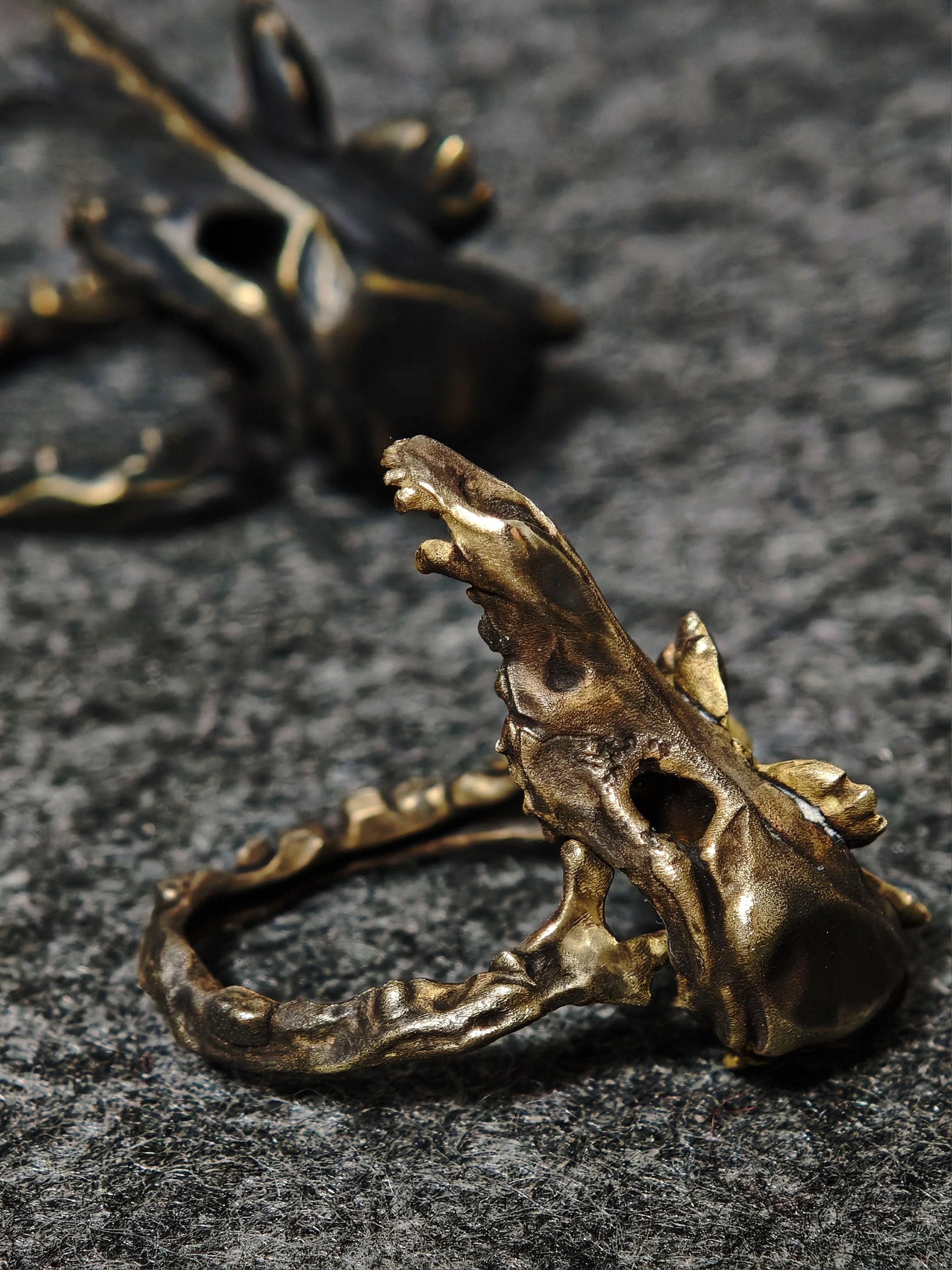 DHG J3 Bone Blossom Brass Ring - Tabletop side view showing opposite side of sculptural skull band