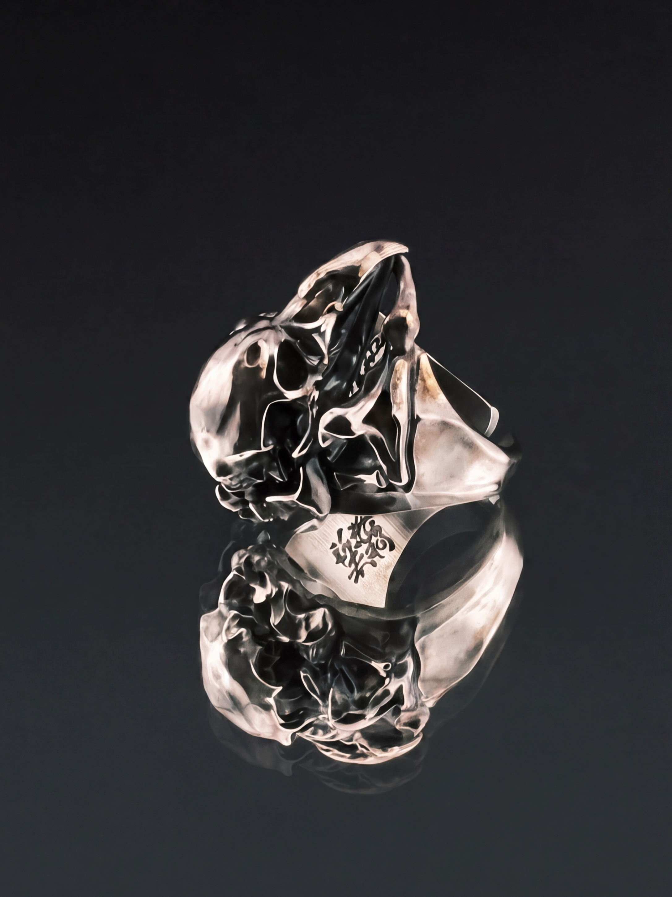 Liangshui Forge Three No Birds Solemn Aviary Ring - Lying on mirrored surface, rear angle showing skull side profile and band