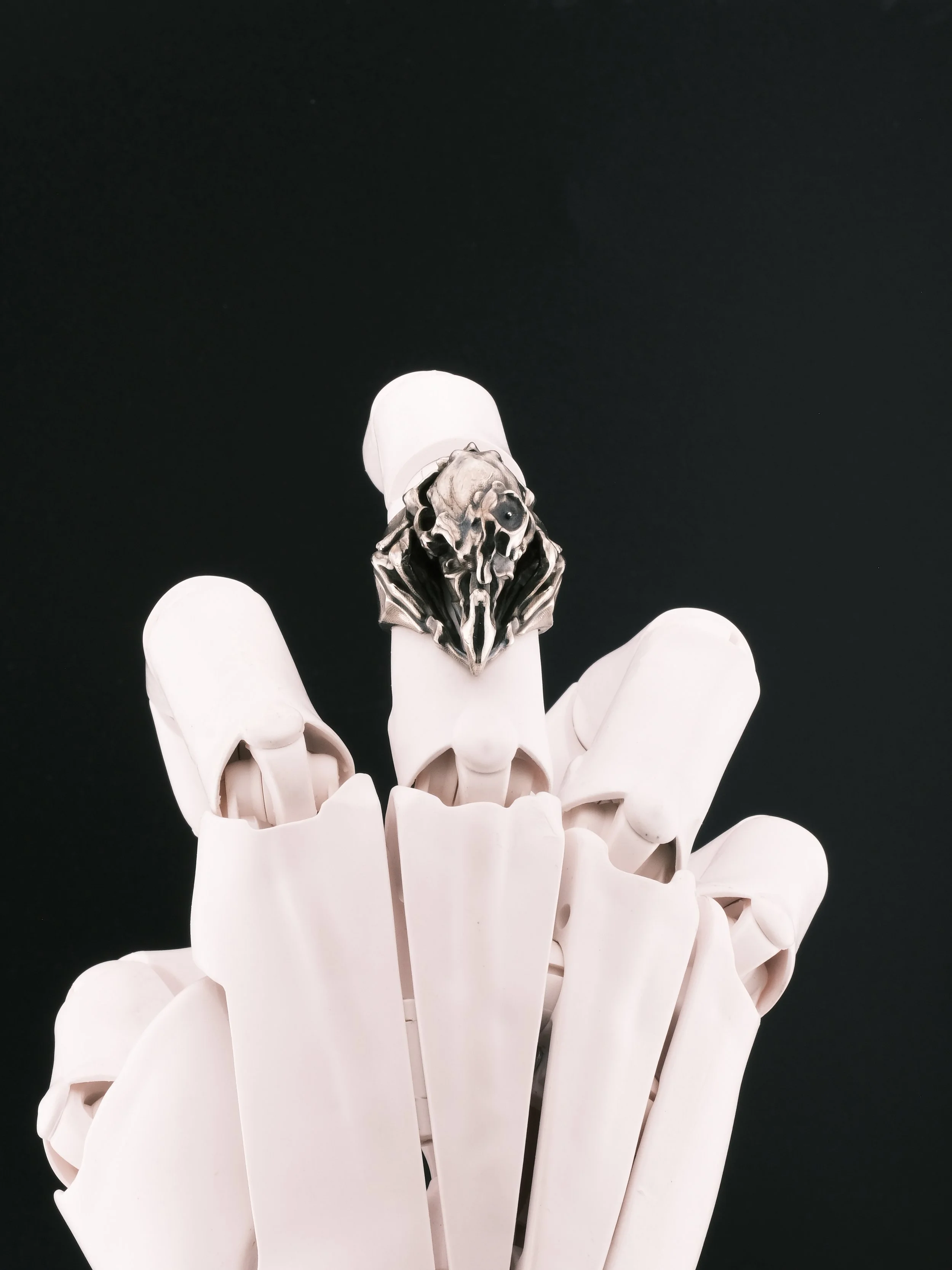 Three No Birds — Unseeing Gaze