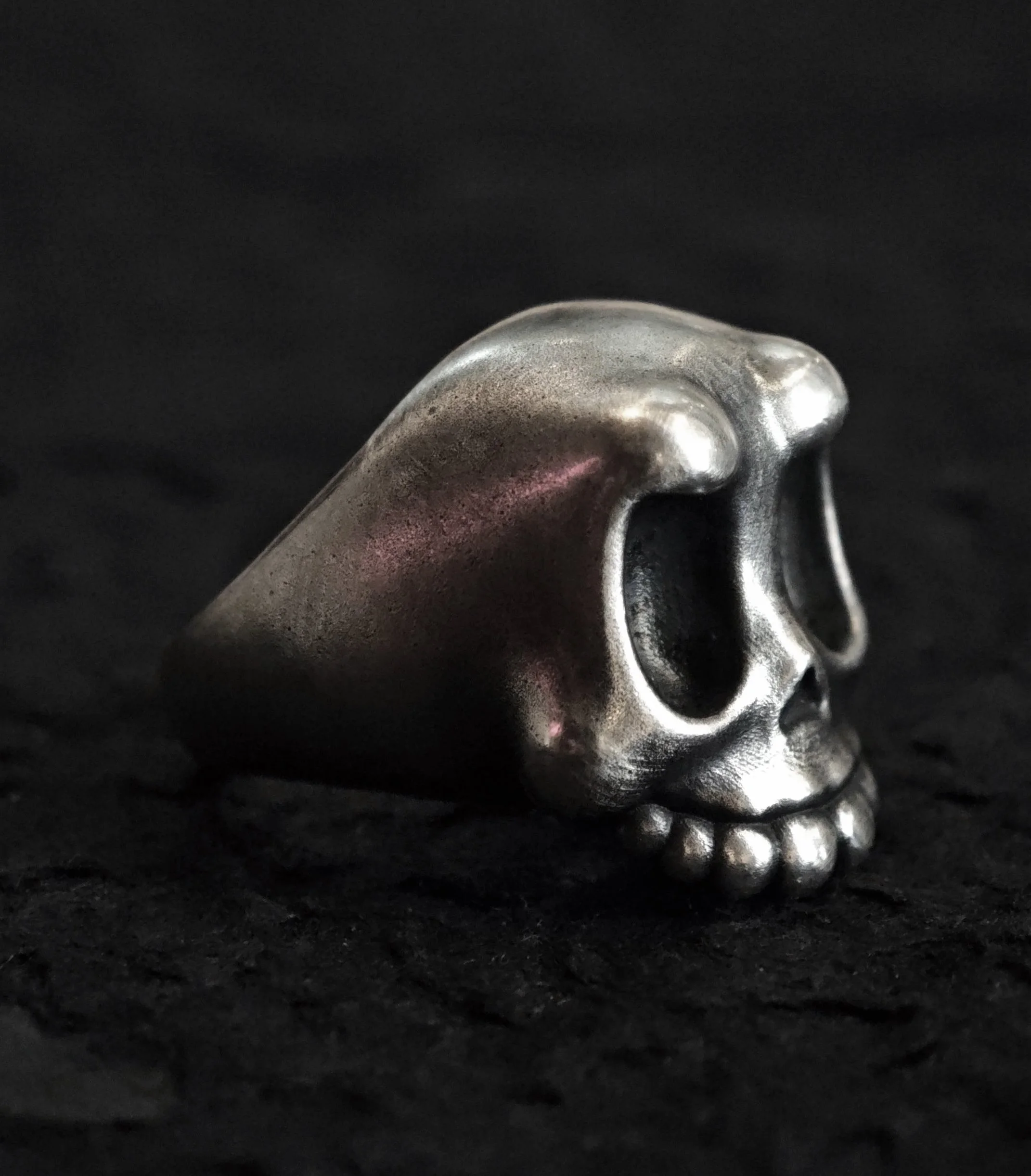 Xia Penghao BONE BUD Wisdom Ring - Side profile on surface