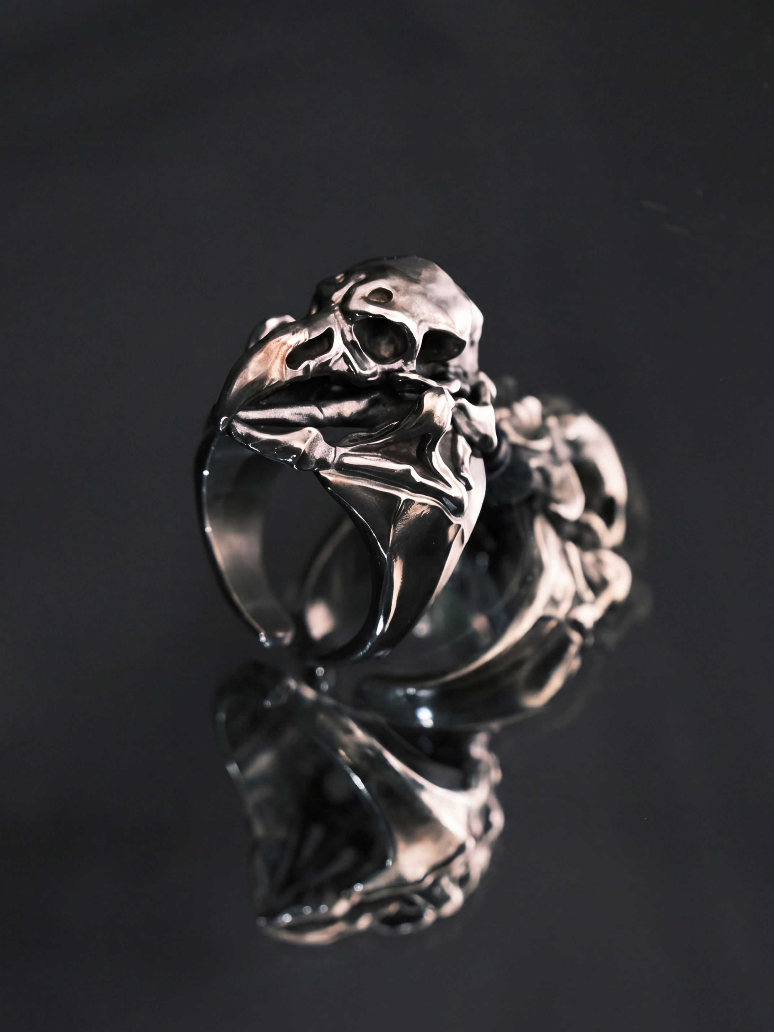 Liangshui Forge Three No Birds Solemn Aviary Ring - On mirrored surface, close side view showing sculptural detail