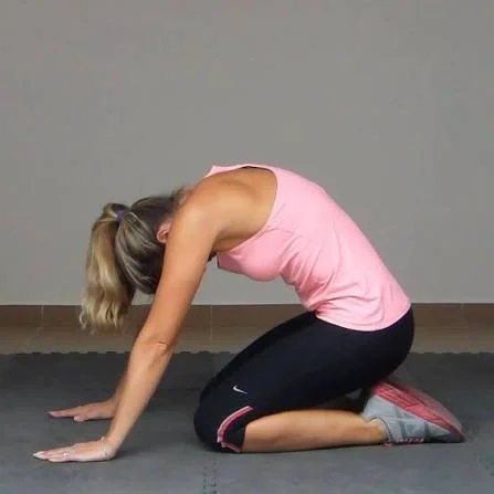 Spinal Flexion