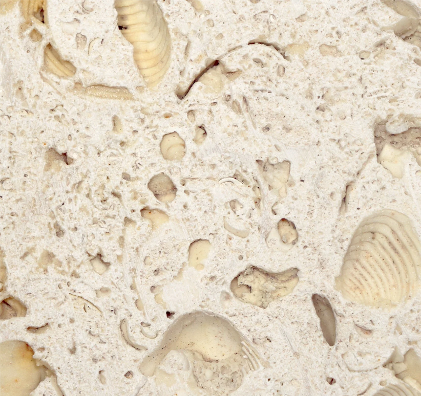 Ostra Limestone