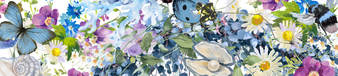 Faire Cover Image 1111x252px.png