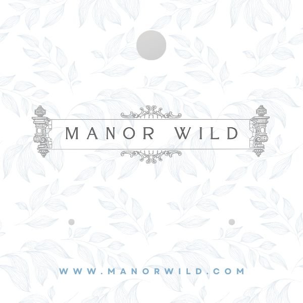 Manor Wild Earring Card.jpg