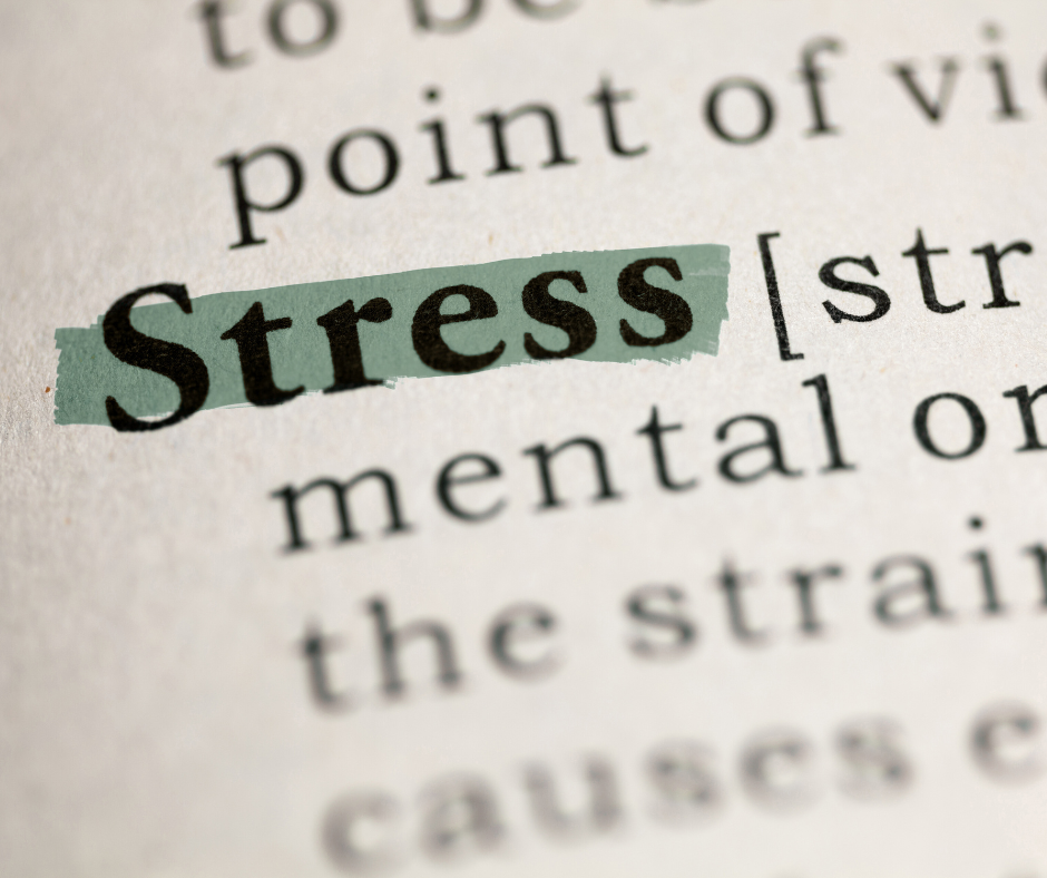 What Your Nervous System Is Trying to Tell You