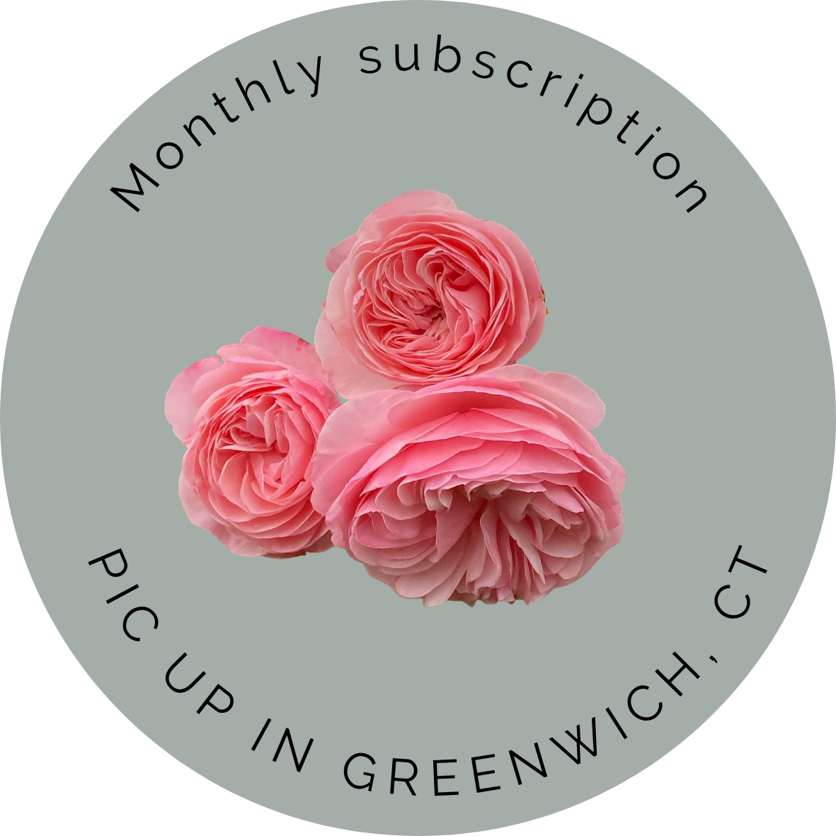 Rose Import LAB™ Bloom Study, Garden rose subscription