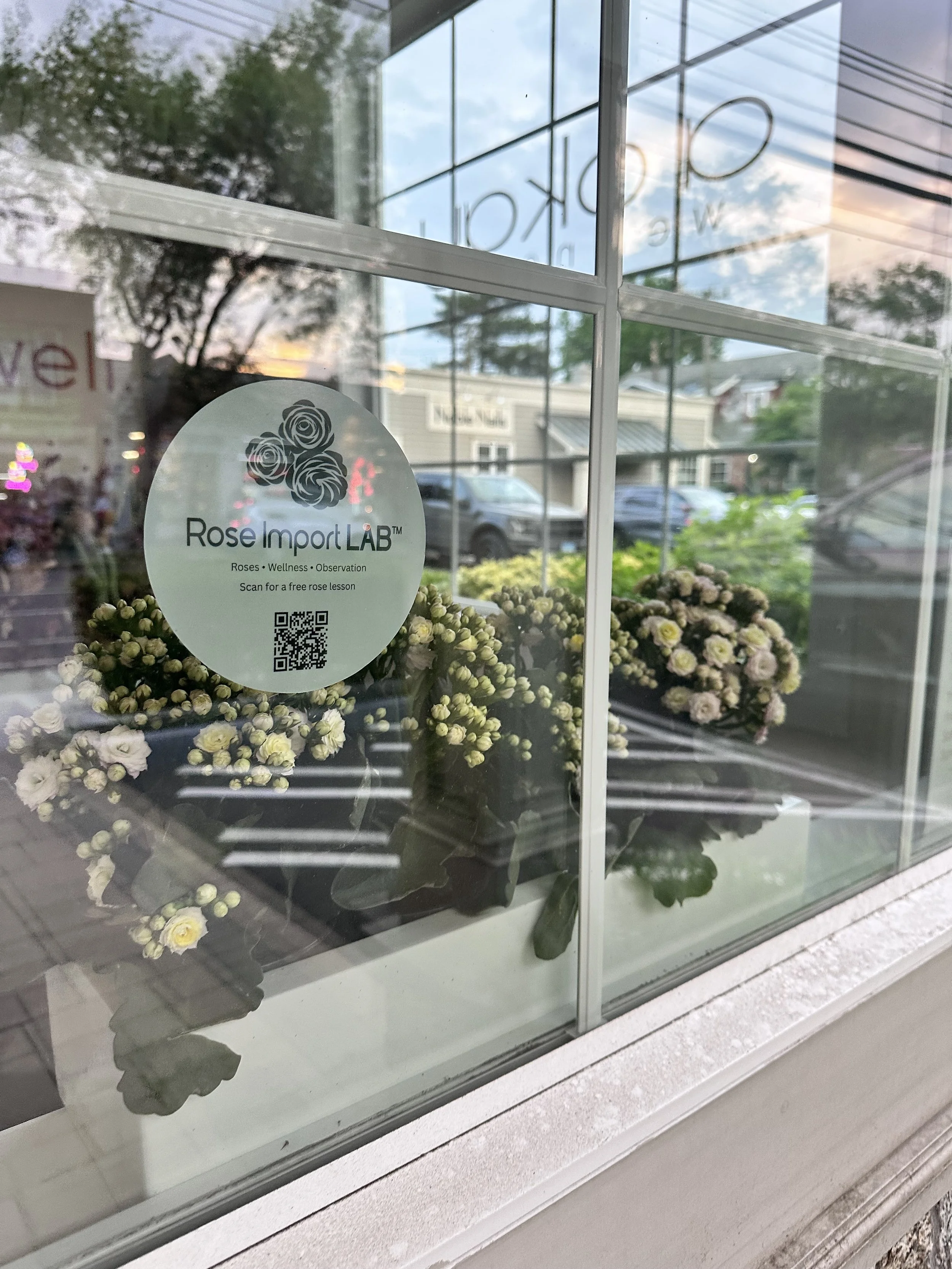 View through a glass window showing flowers inside and buildings and cars outside. There is a sticker on the window that reads 'Rose Import LAB' with a logo of three roses, and text below that says 'Roses, Wellness, Observation. Scan for a free rose lesson' along with a QR code.