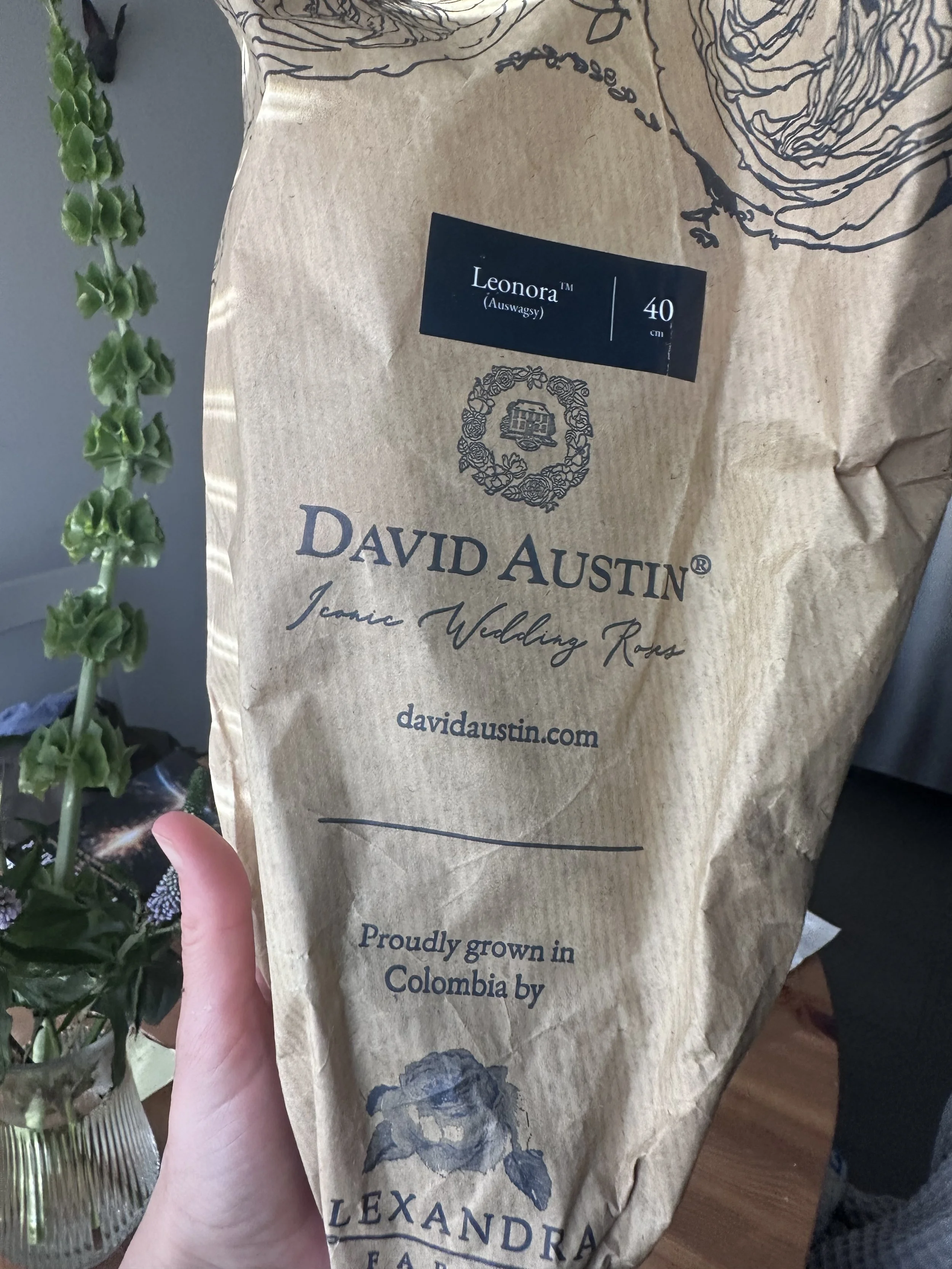 A paper bag of David Austin Iconic Wedding Roses with a label indicating the flowers are 40 centimeters tall. The bag has a black and white illustration of a rose and a logo, with additional text indicating they are grown in Colombia. Part of a person's hand and a plant in a vase are visible in the background.