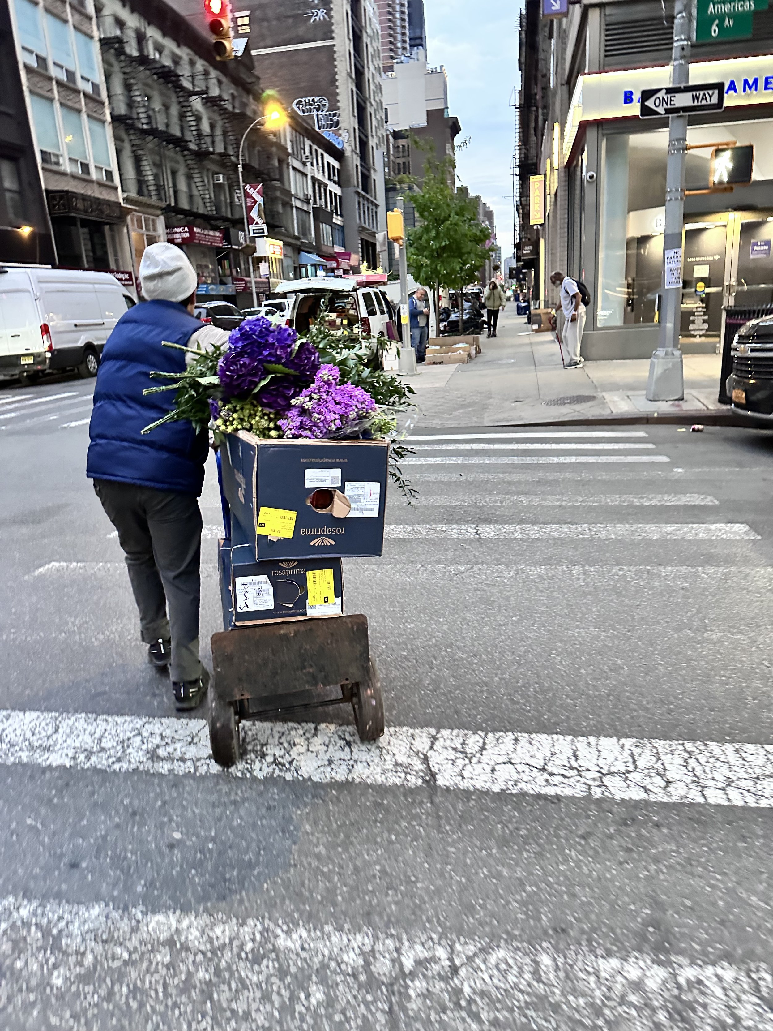 A city street corner with a person pushing a cart filled with purple and lavender flowers. The street has crosswalk lines, parked vehicles, and people walking. NYC historic flower district. The person is wearing a white hat and blue vest.