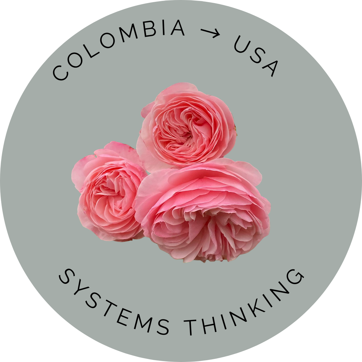 Thinking in Systems: How Global Trade Really Works