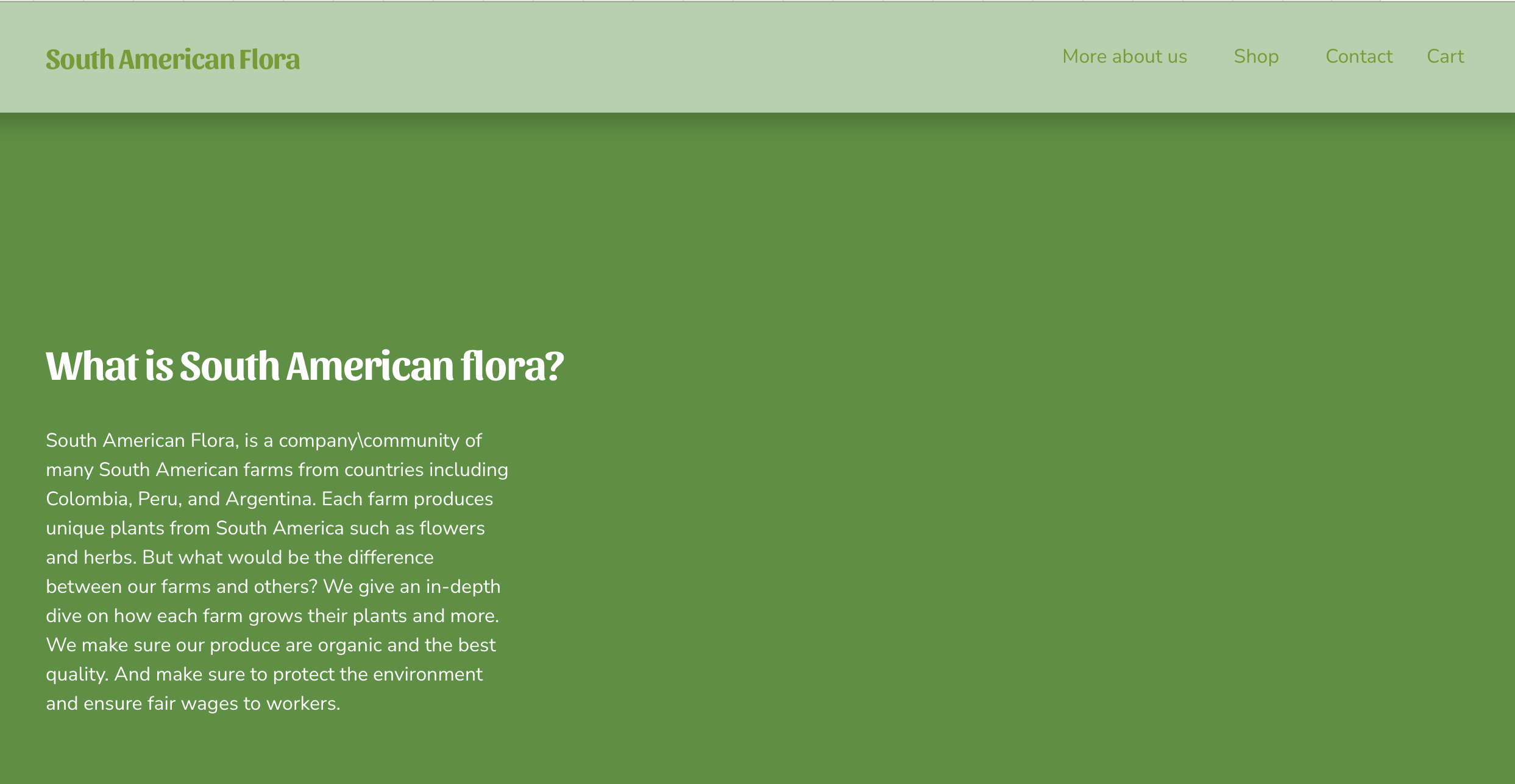 Sample of student starting to work on their website