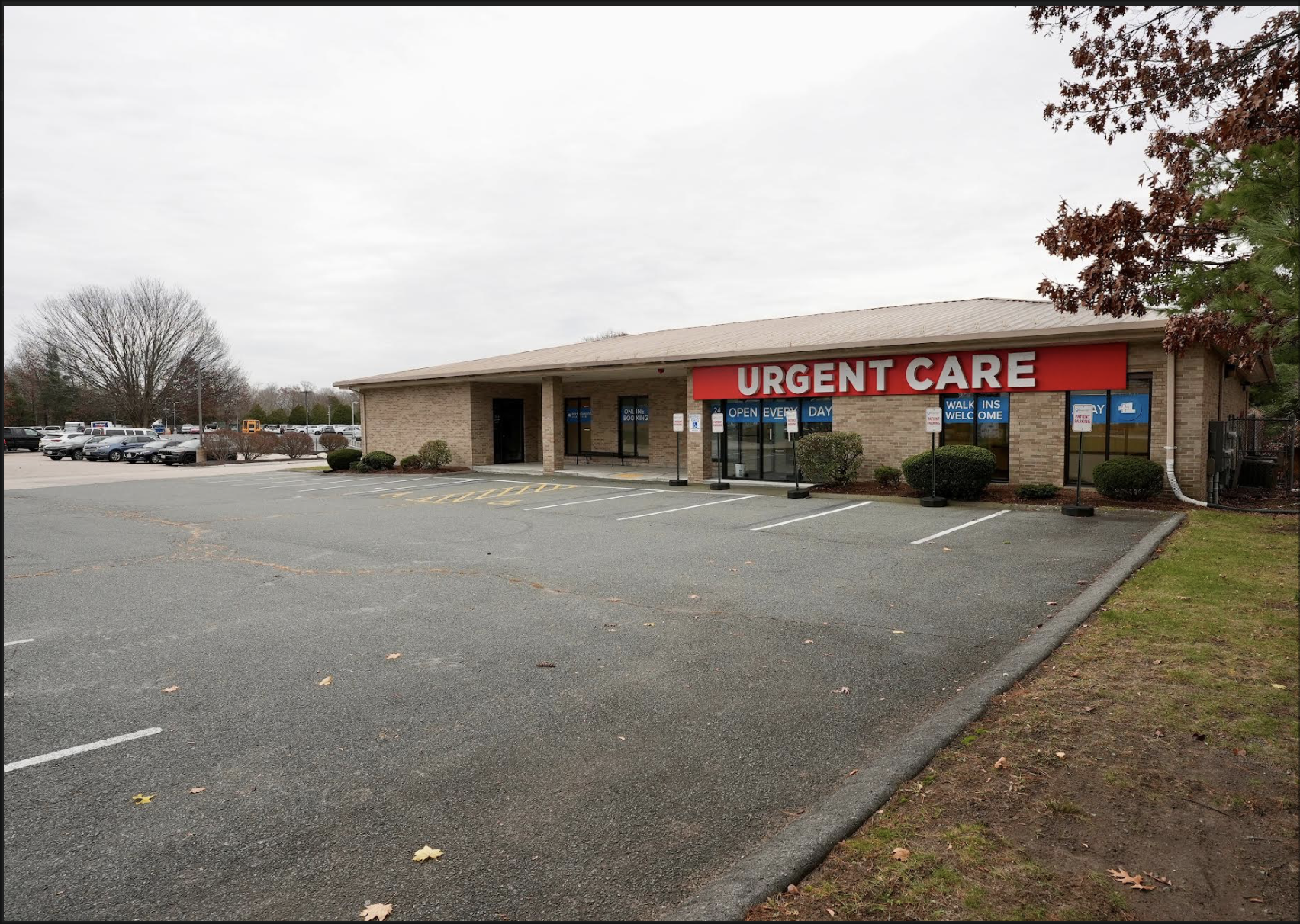 Screenshot 2026-02-12 at 5.42.12 PM.png