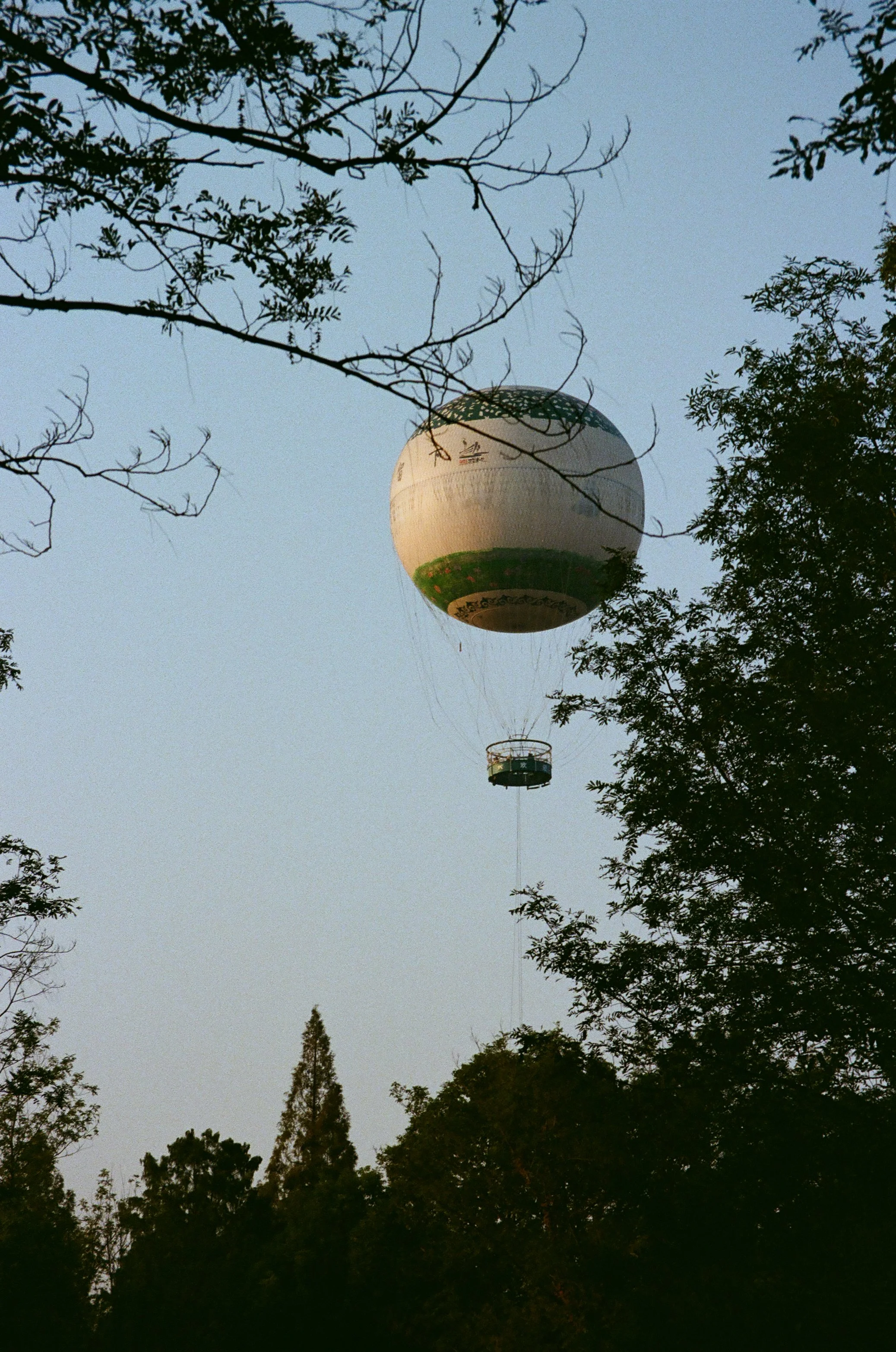 A hot air balloon floating in the sky surrounded by trees.