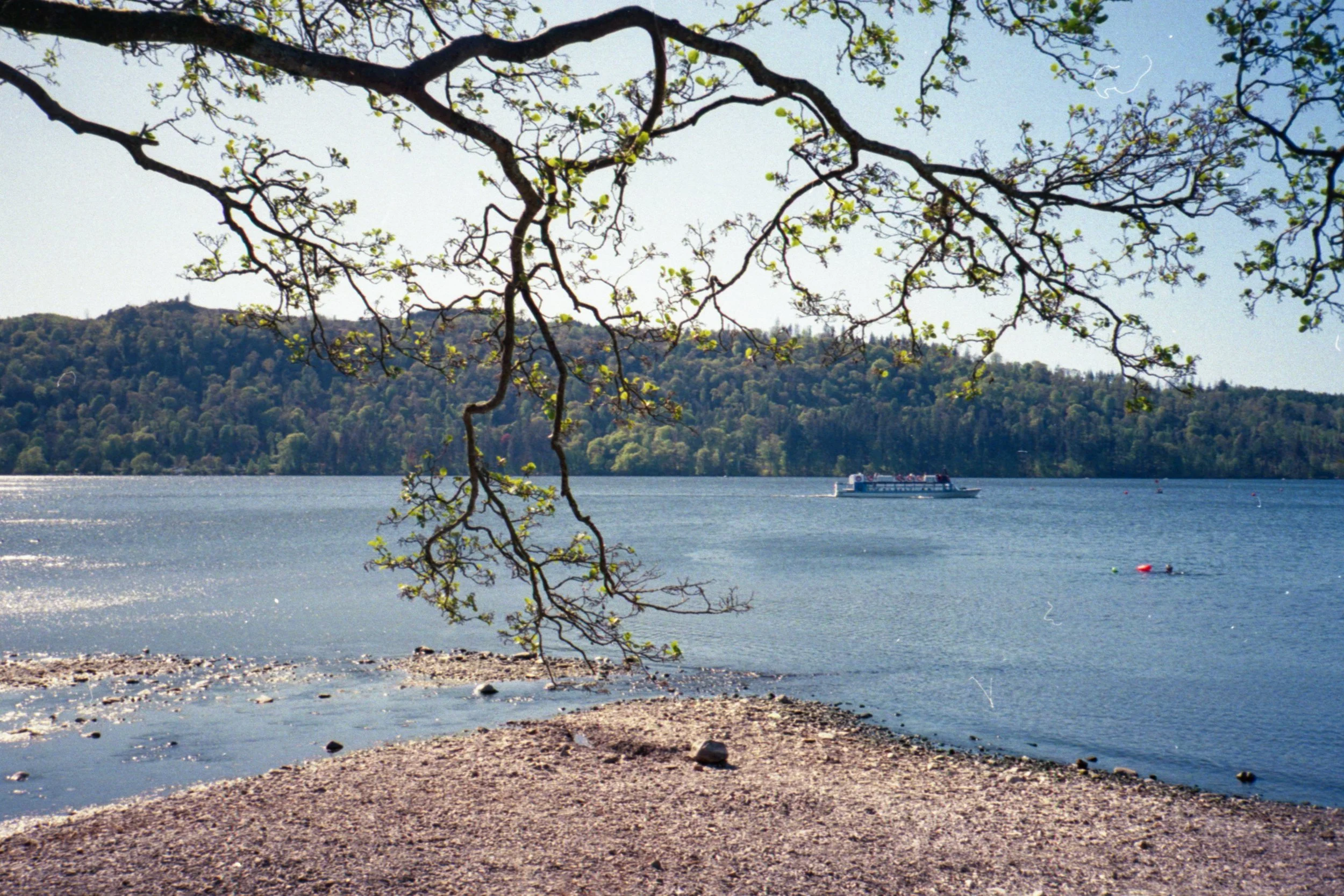 img20260512_15462348.jpg