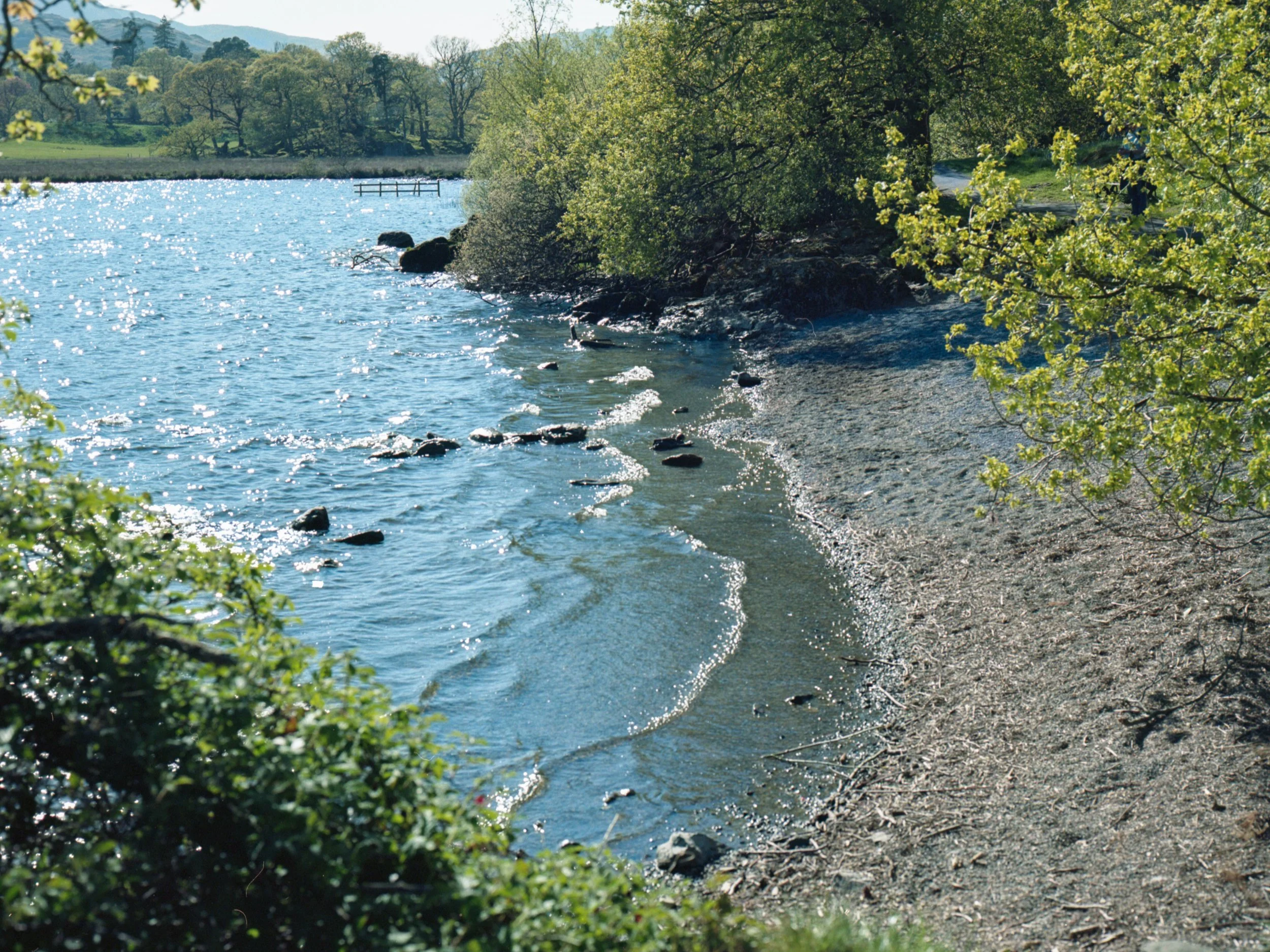 img20260512_15384693.jpg
