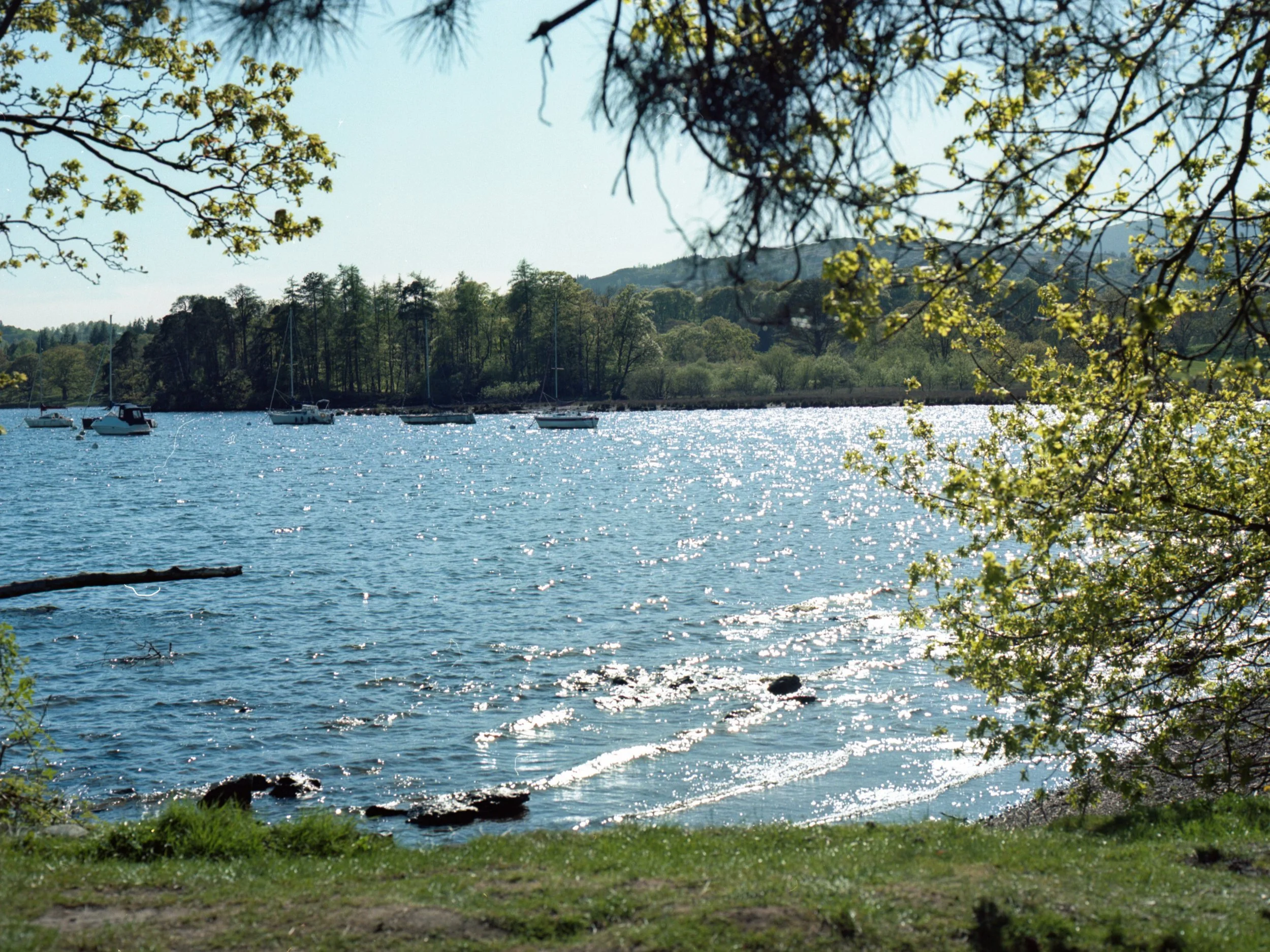 img20260512_15360951.jpg