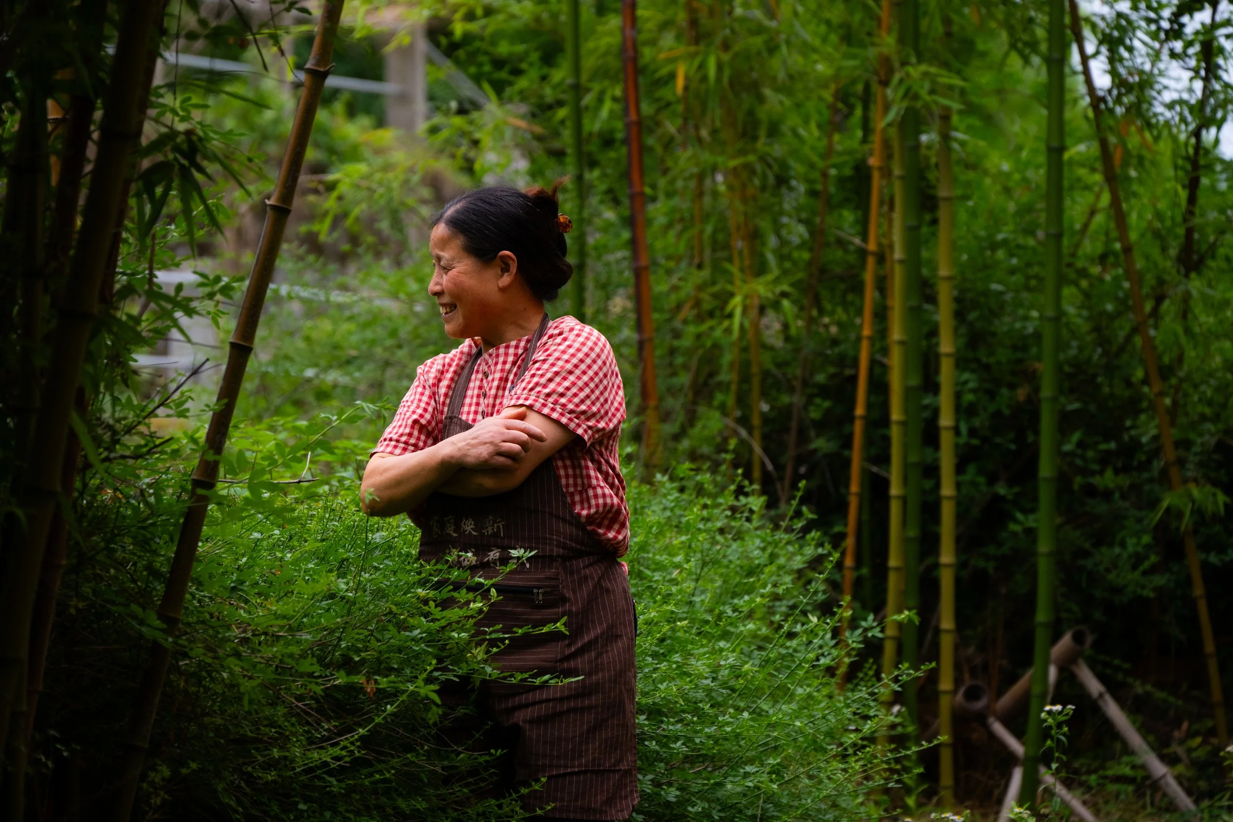 An elderly woman smiling and laughing while standing amidst green bamboo plants in a lush outdoor garden.
