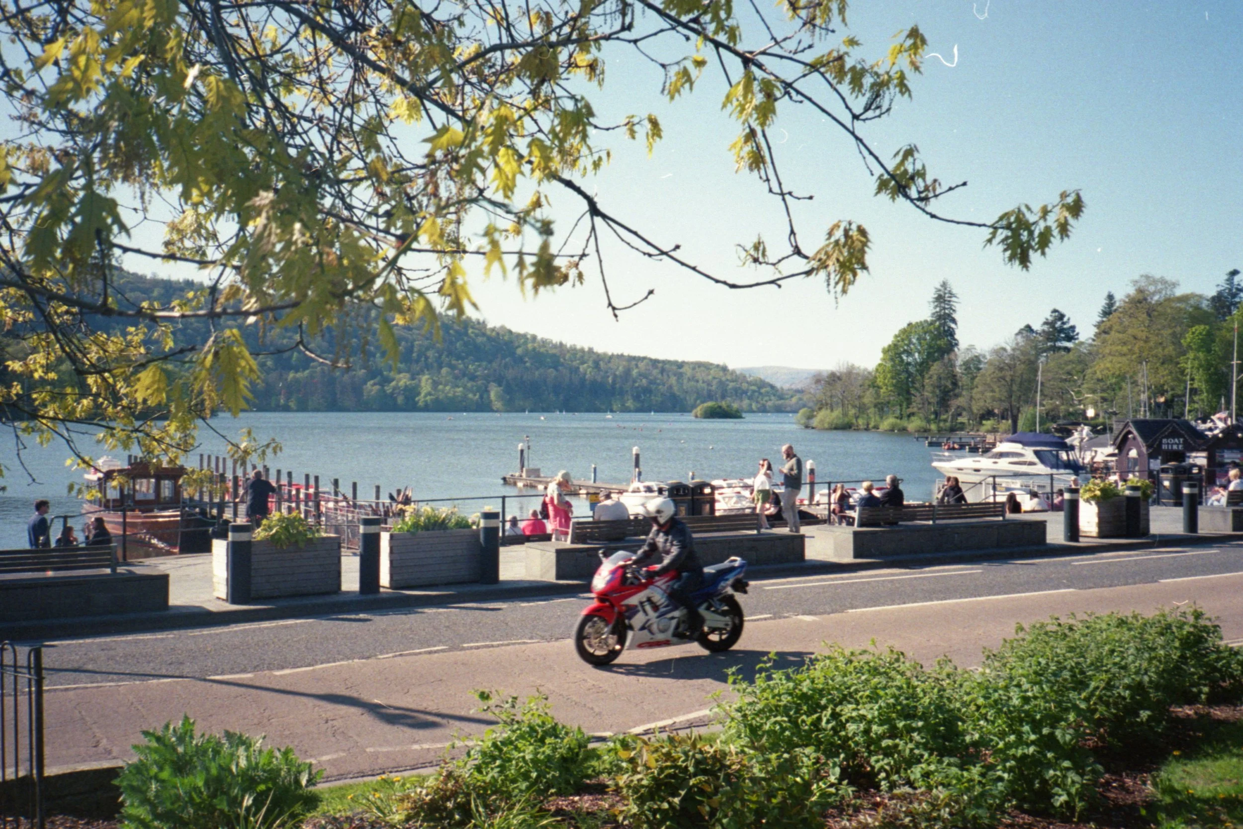 img20260512_16084495.jpg