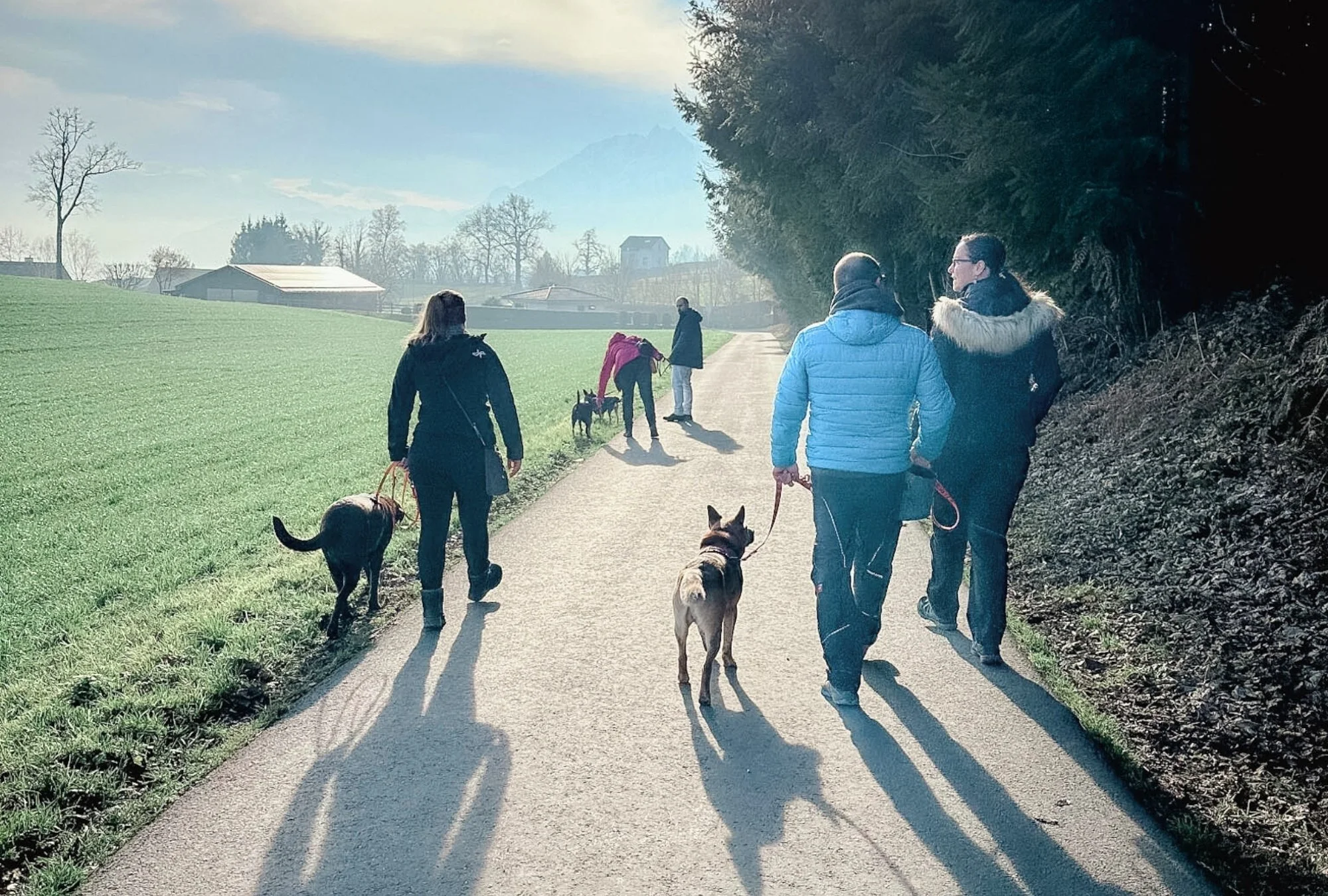 Menschen gehen mit Hunden auf einem schmalen Weg nach draußen, umgeben von Wiesen und Bäumen, bei sonnigem Himmel.