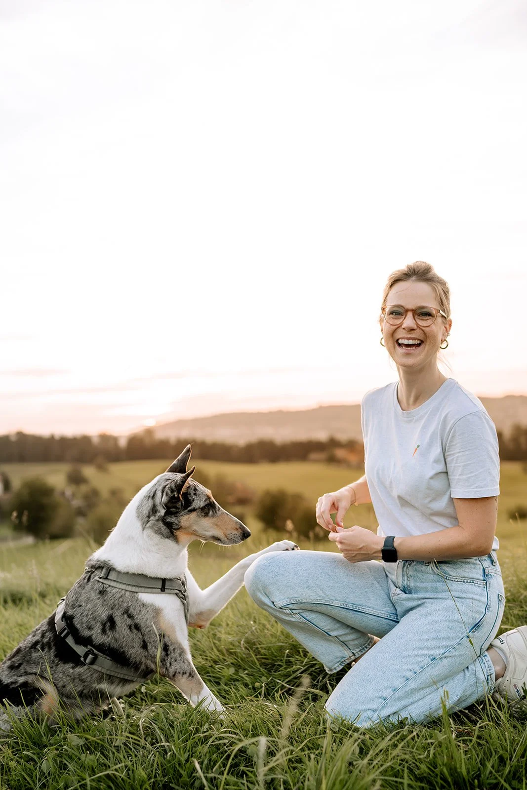 Einzeltraining Hundetrainerin Alexa Schels – Luzern Zug