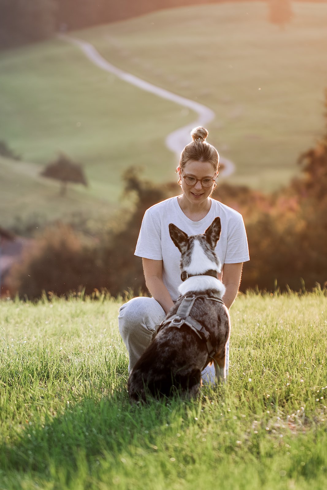 Individuelles Hundetraining Philosophie – Luzern Zug