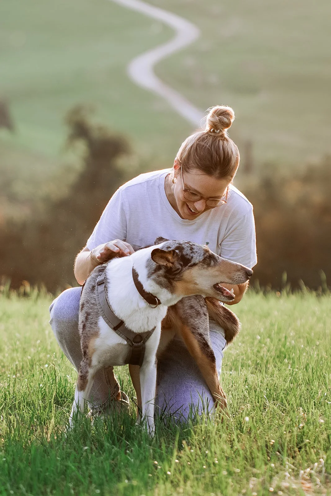 Mensch-Hund-Beziehung staerken – Hundetraining Luzern Zug
