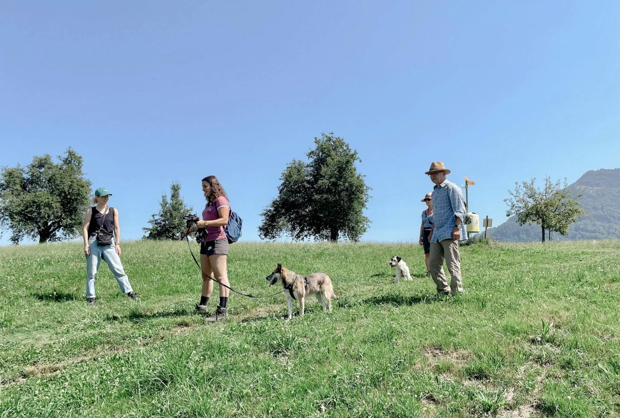 Social Walk Gruppe Luzern – Hunde spazieren