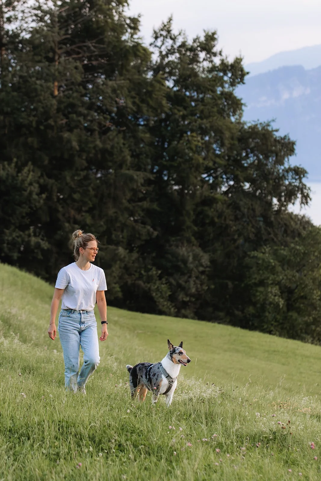 Individuelles-Hundetraining-Zentralschweiz-Alexa-Schels