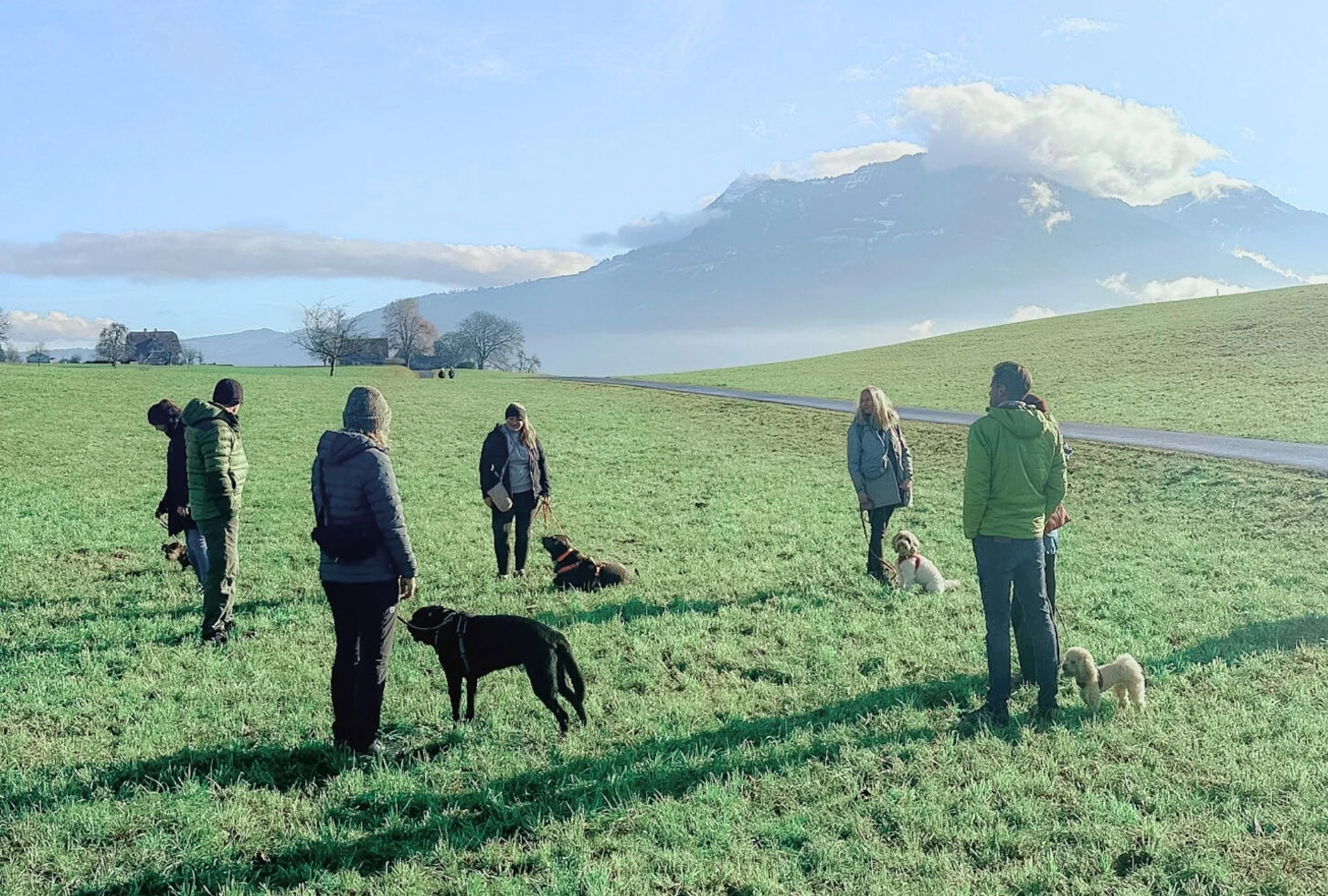angeleiteter-spaziergang-hund-luzern-meggen.jpg