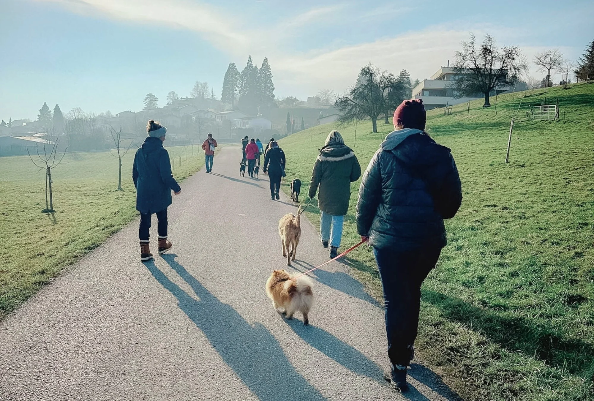 Social Walk Gruppe Luzern – Training Hundebegegnungen beim spazieren