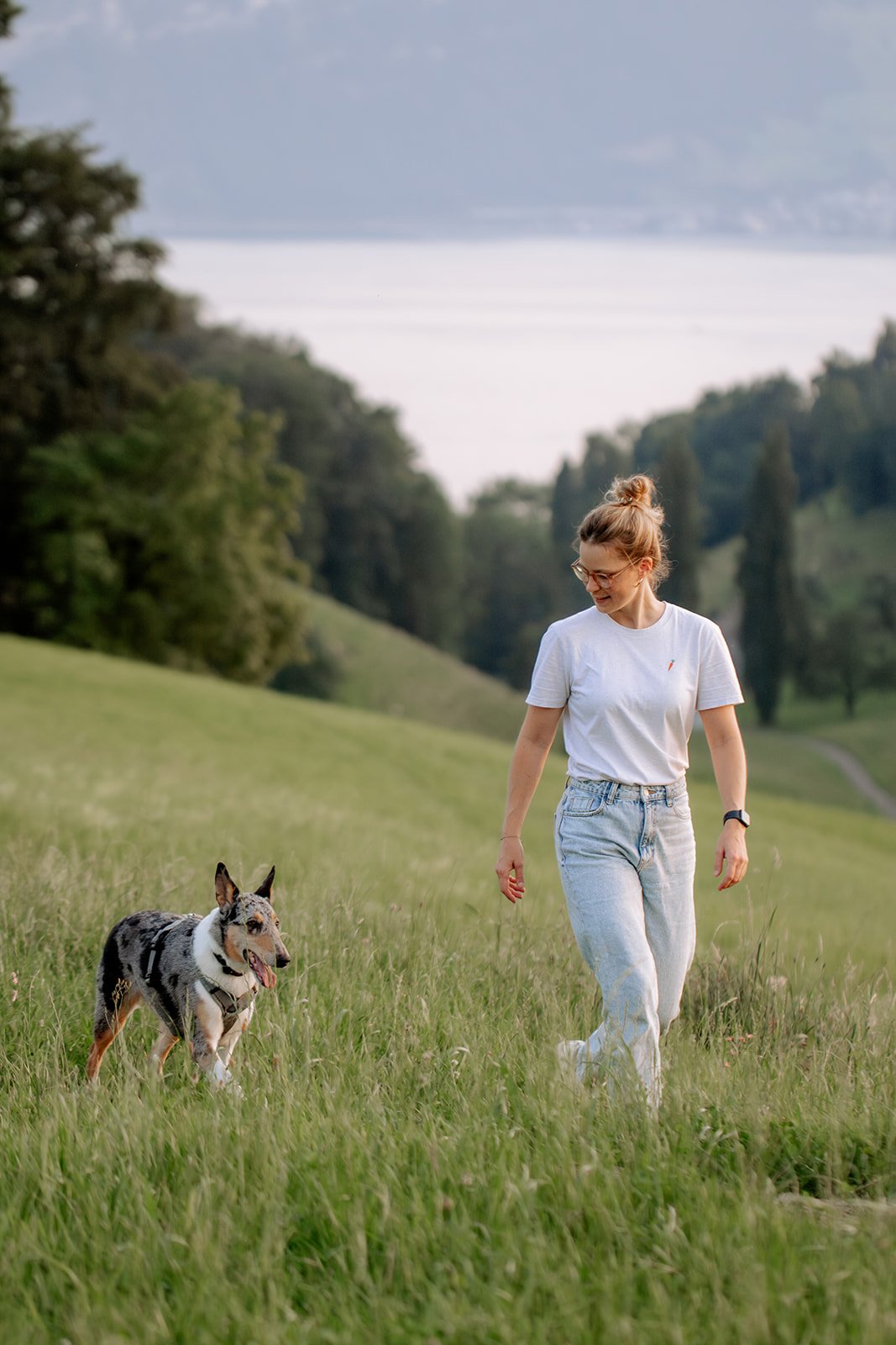 Alltagsnahes Hundetraining Mensch Hund – Luzern Zug