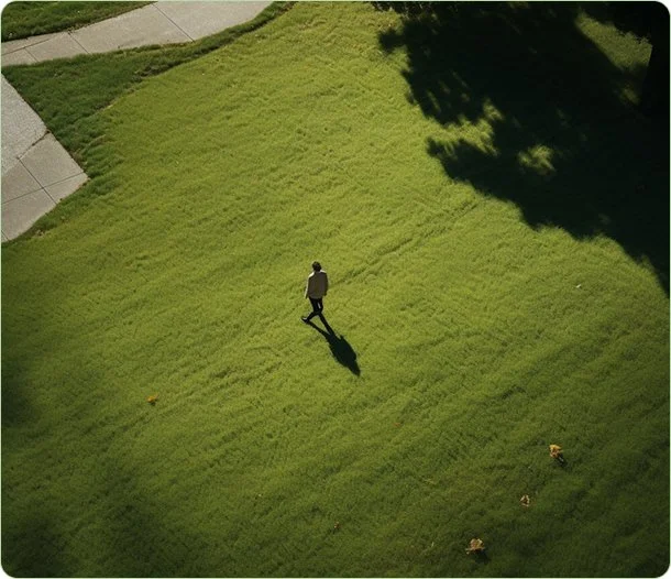 A person walking on a grassy lawn, casting a long shadow. Part of a sidewalk and trees casting shadows are visible.