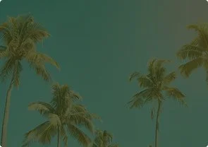Multiple palm trees against a green sky