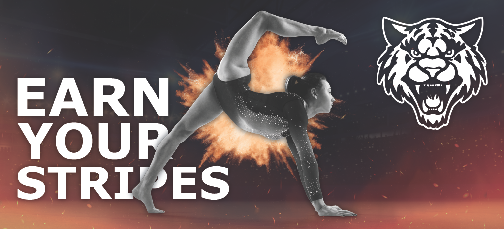 A female gymnast in a handstand position with a fiery explosion graphic behind her, next to a tiger mascot logo and the text 'Earn Your Stripes' on a dark background.