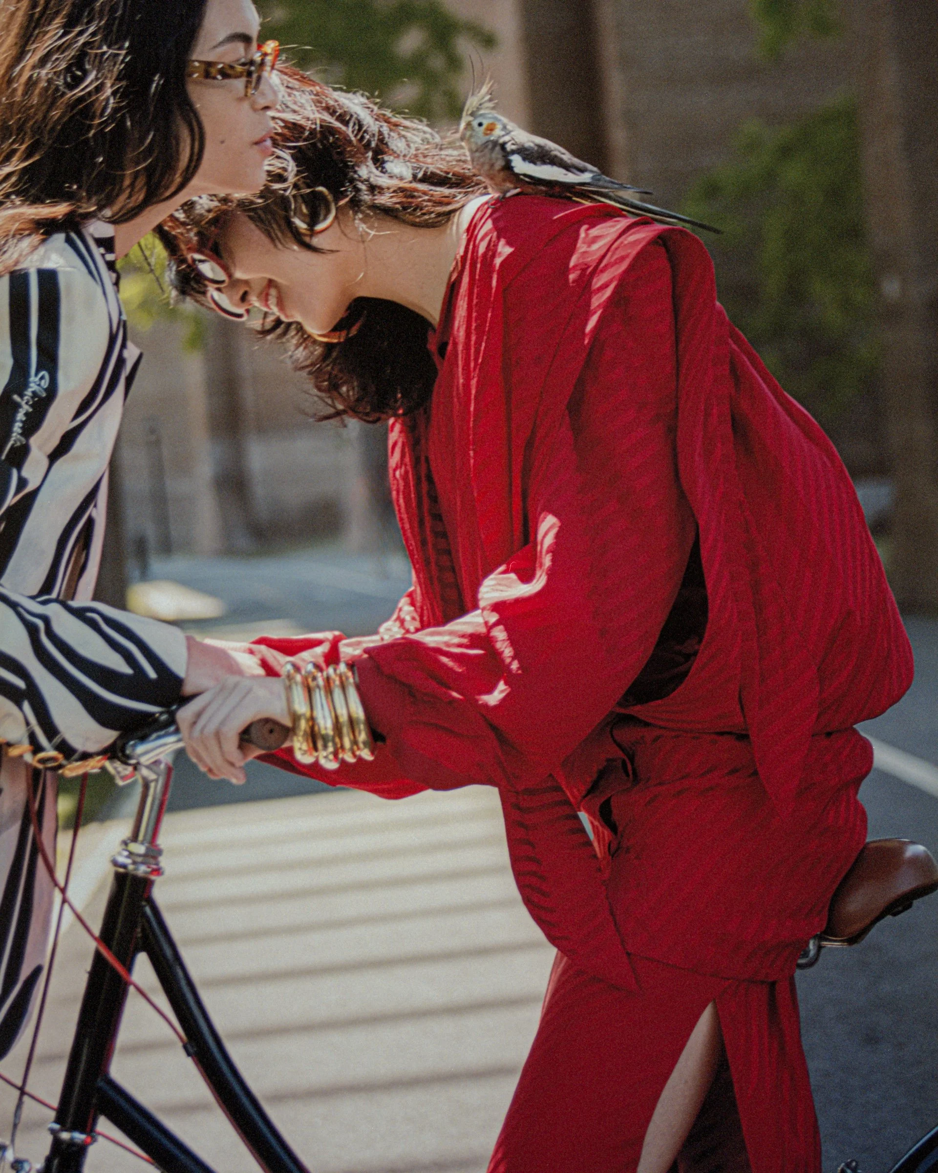 008-IMGP6032 reshoot.JPEG