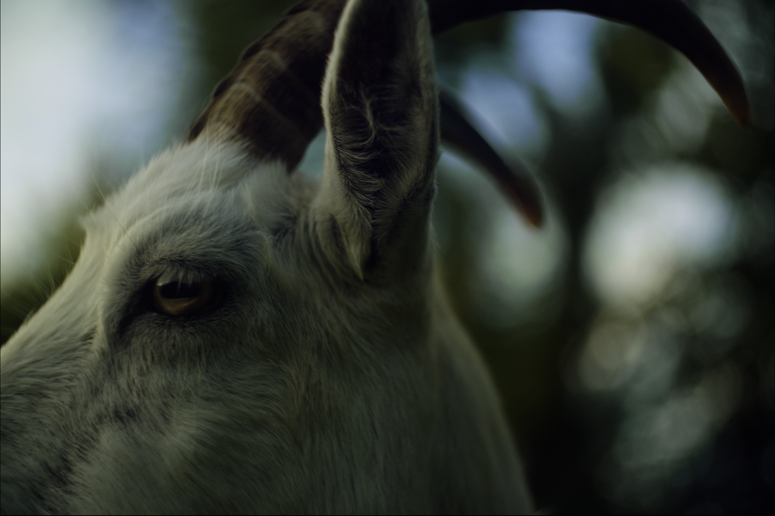 New Short films from Sligo, Leitrim and Roscommon (SLR) 